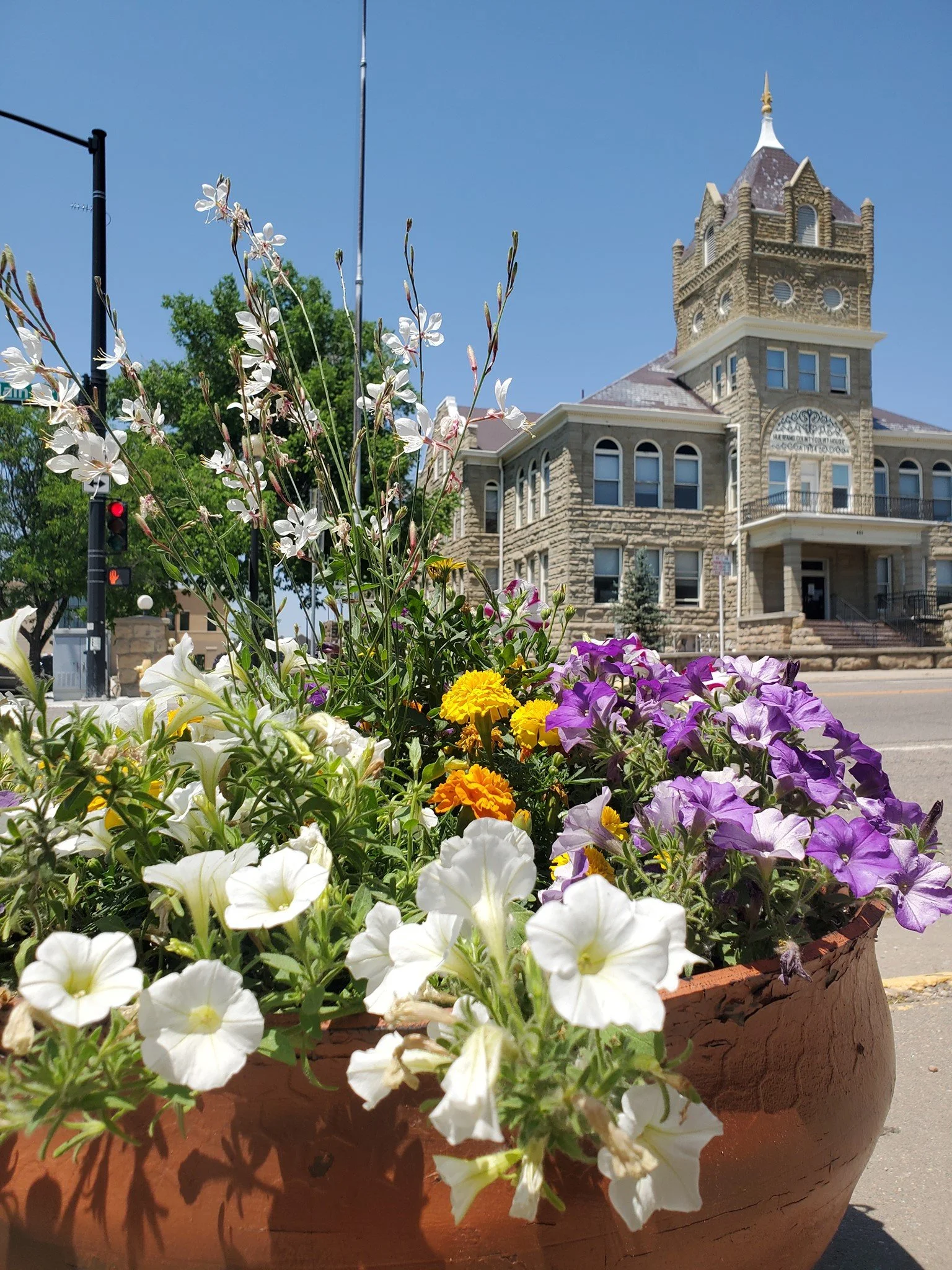 Flowers with the Huerfano County courthouse in the background