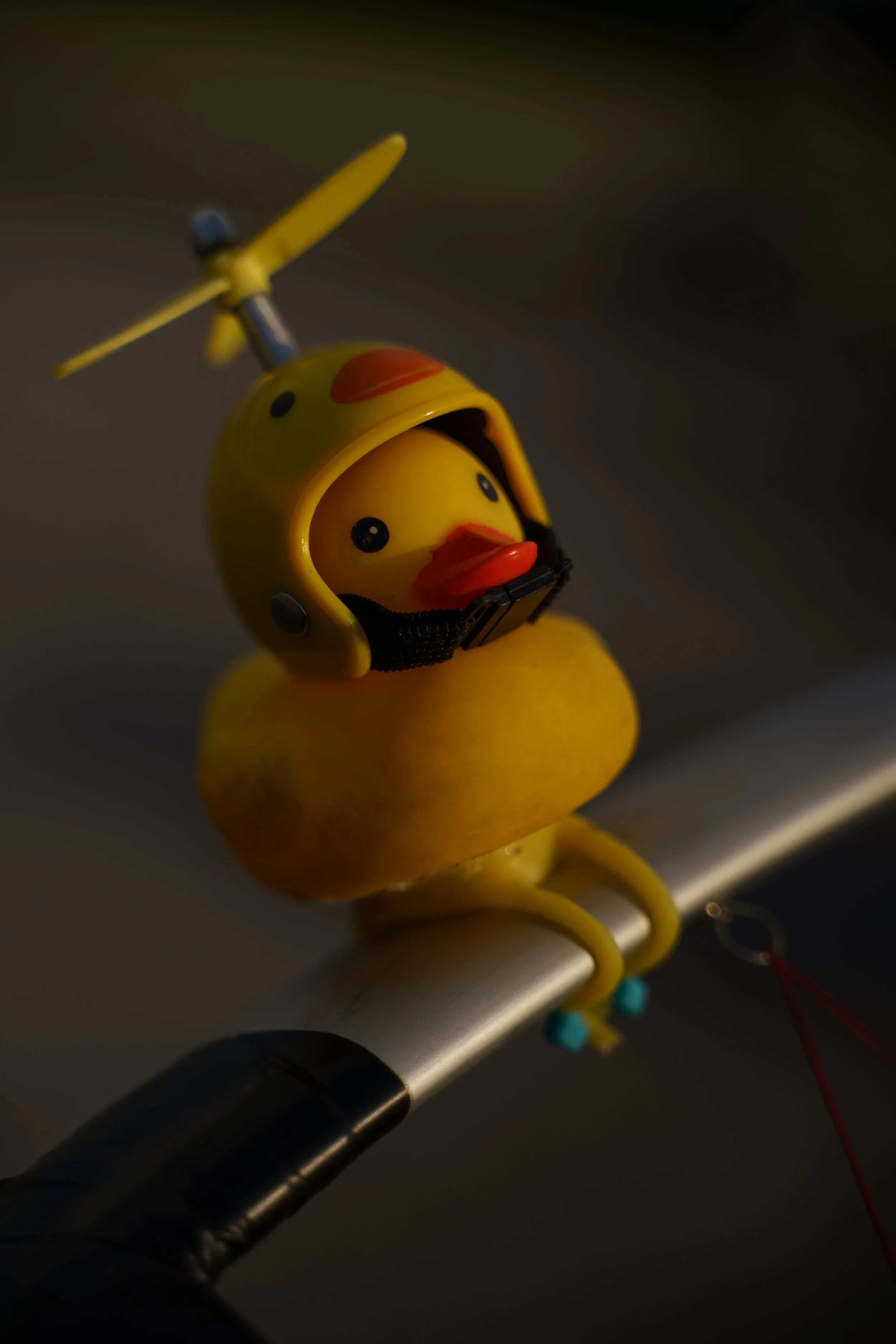 Paramotor day-14.jpg