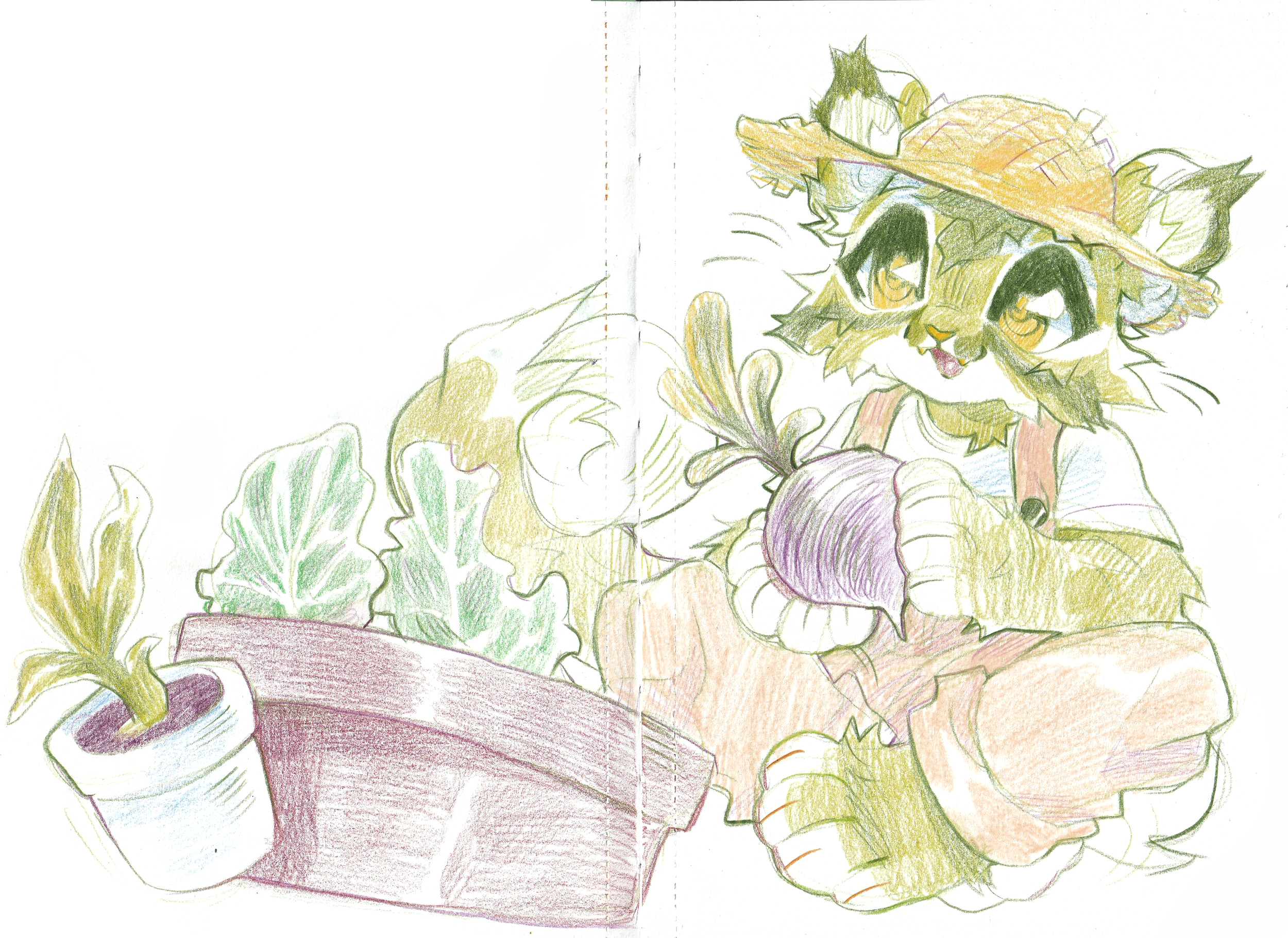 IMG_0001 13.png