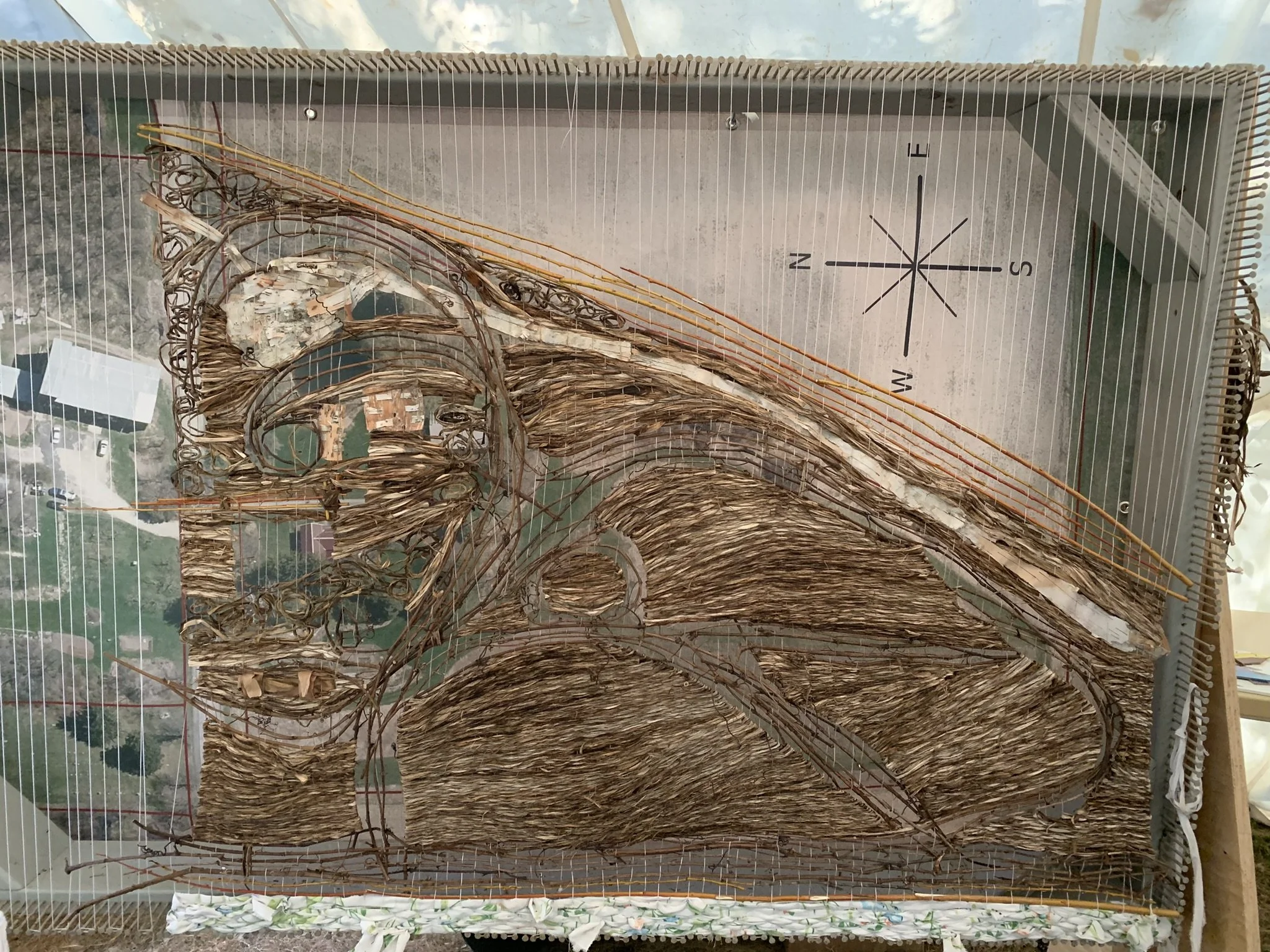 WtL_1_Zoe Van Nostrand_Fall 2025.JPEG