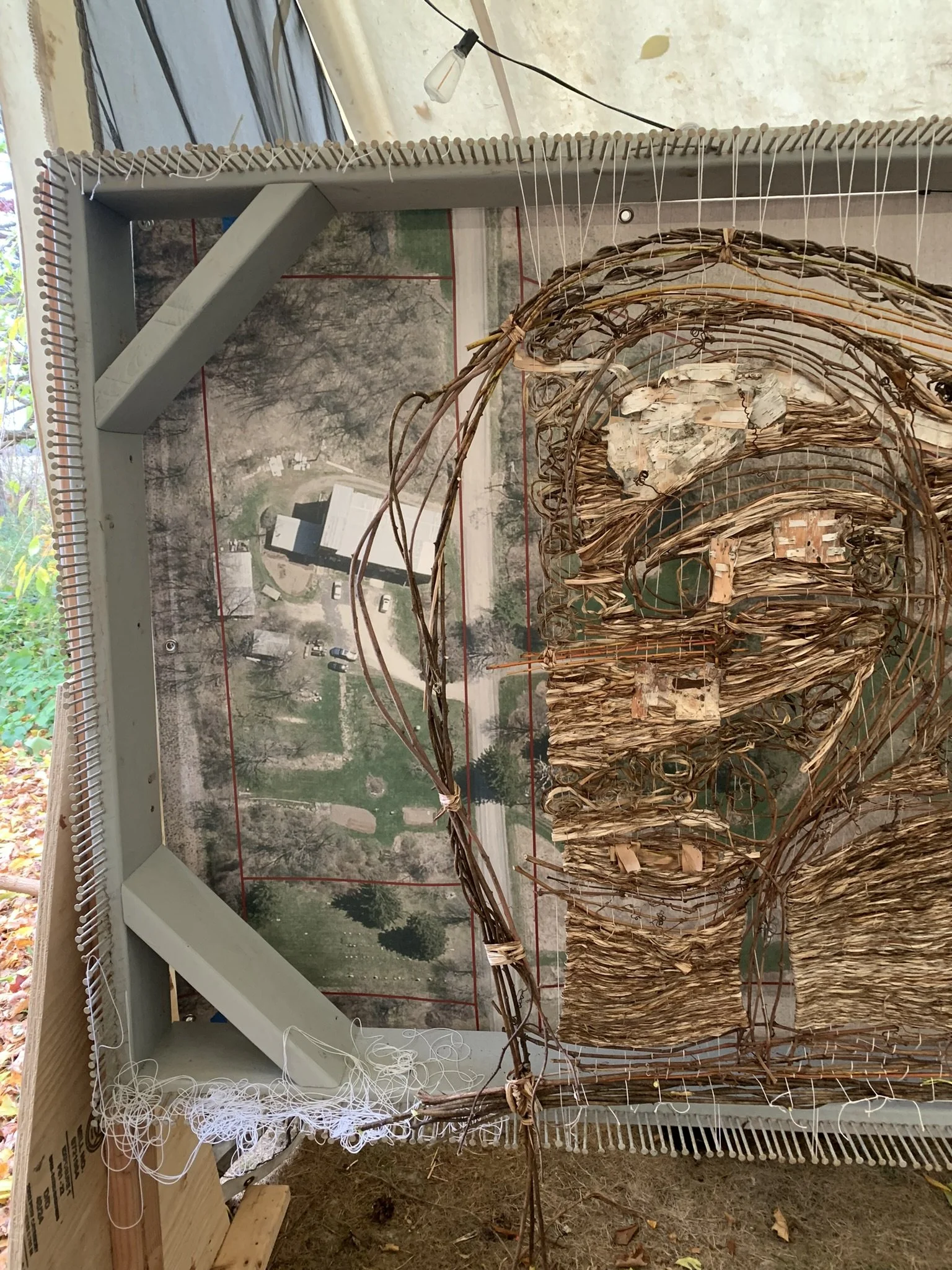 WtL_2_Zoe Van Nostrand_Fall 2025.JPEG