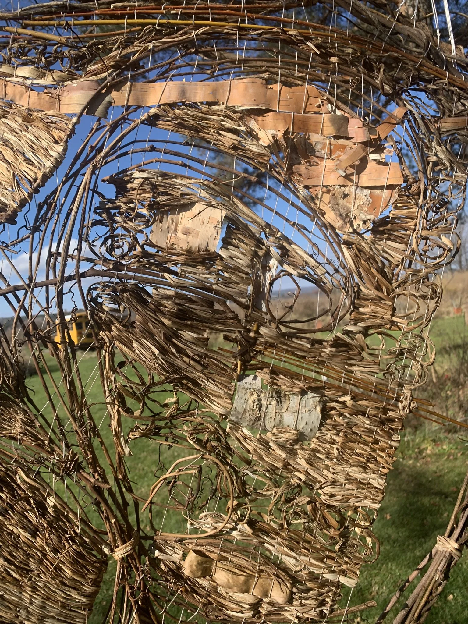 WtL_5_Zoe Van Nostrand_Fall 2025.JPEG