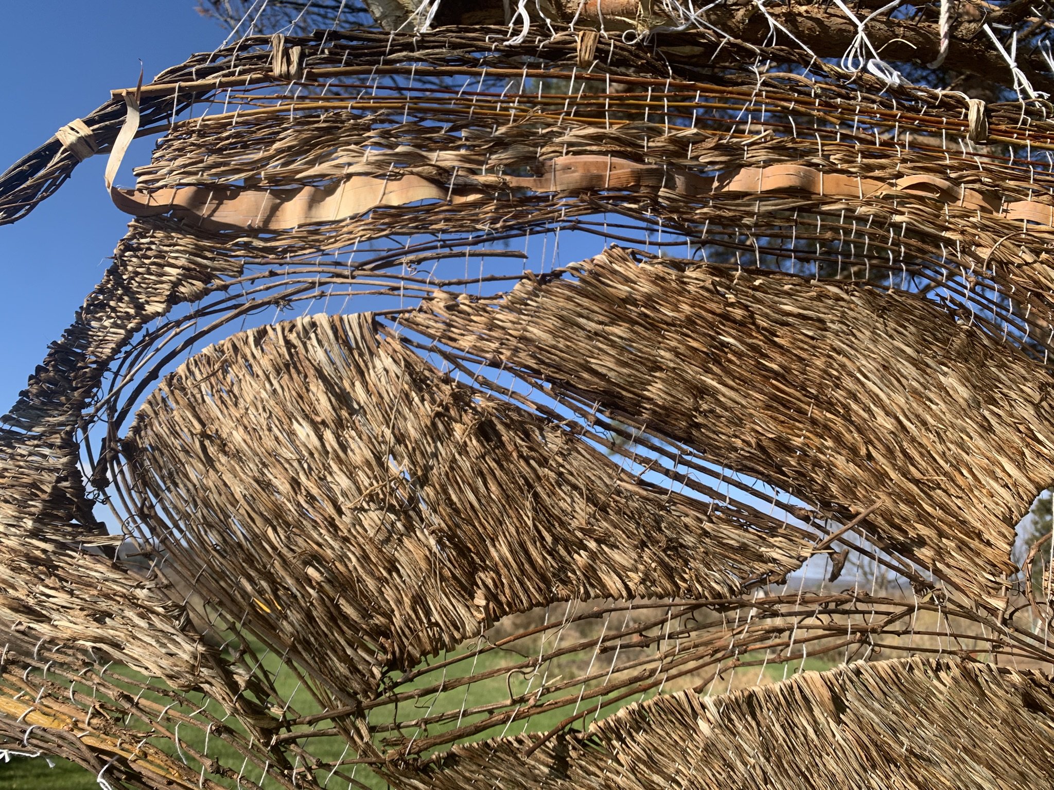 WtL_6_Zoe Van Nostrand_Fall 2025.JPEG