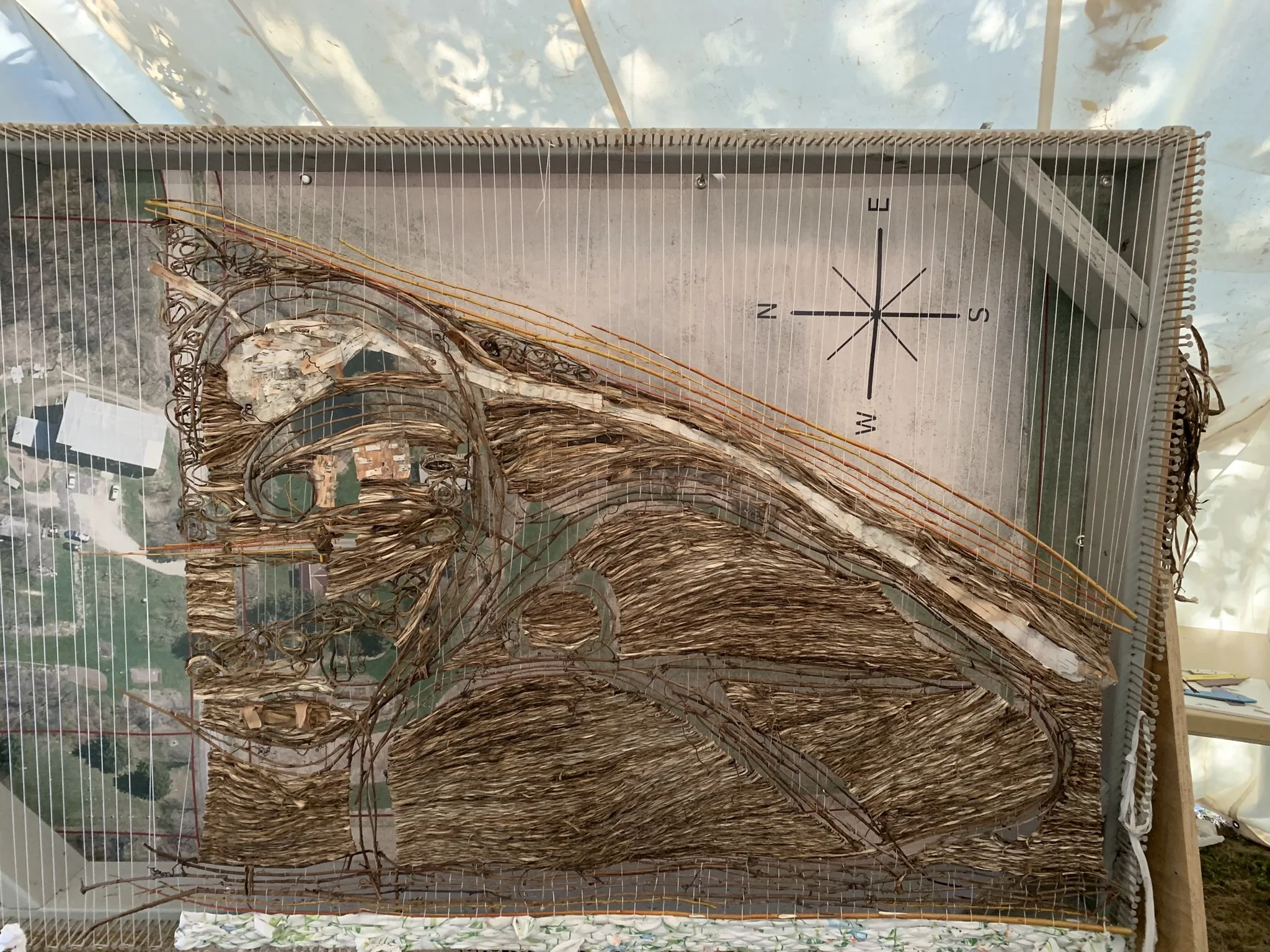 WtL_8_Zoe Van Nostrand_Fall 2025.JPEG