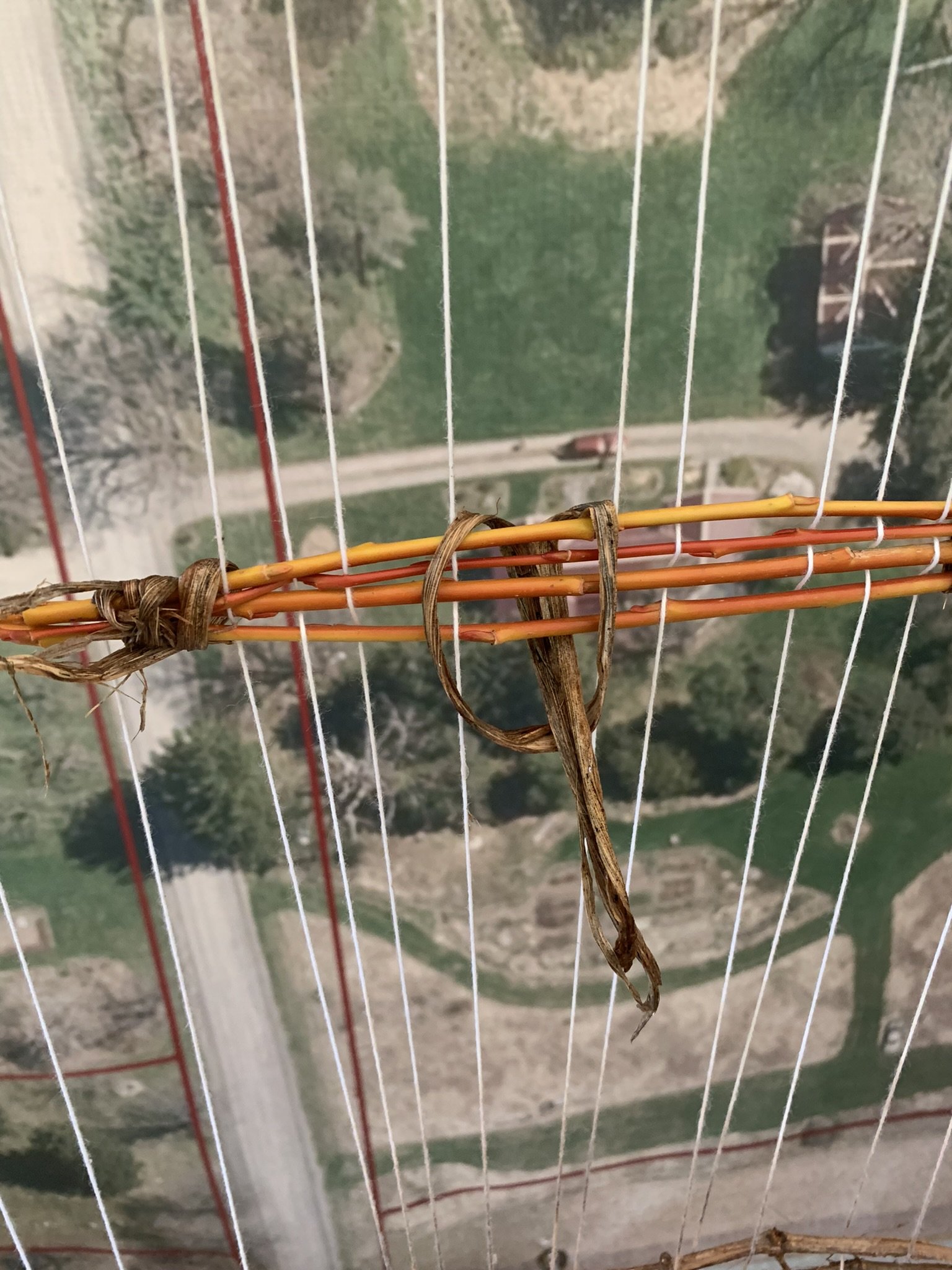 WtL_9_Zoe Van Nostrand_Fall 2025.JPEG