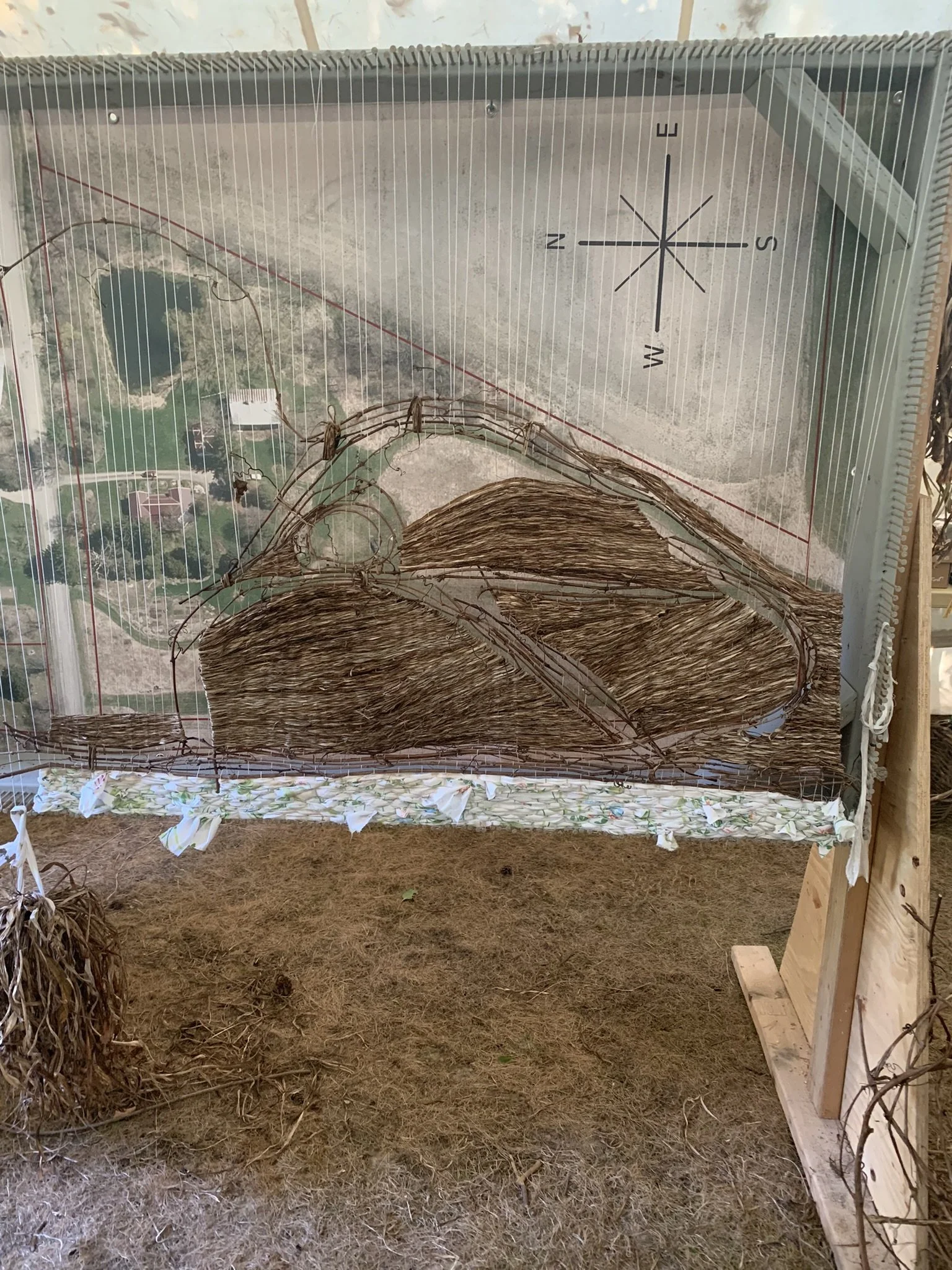 WtL_10_Zoe Van Nostrand_Fall 2025.JPEG