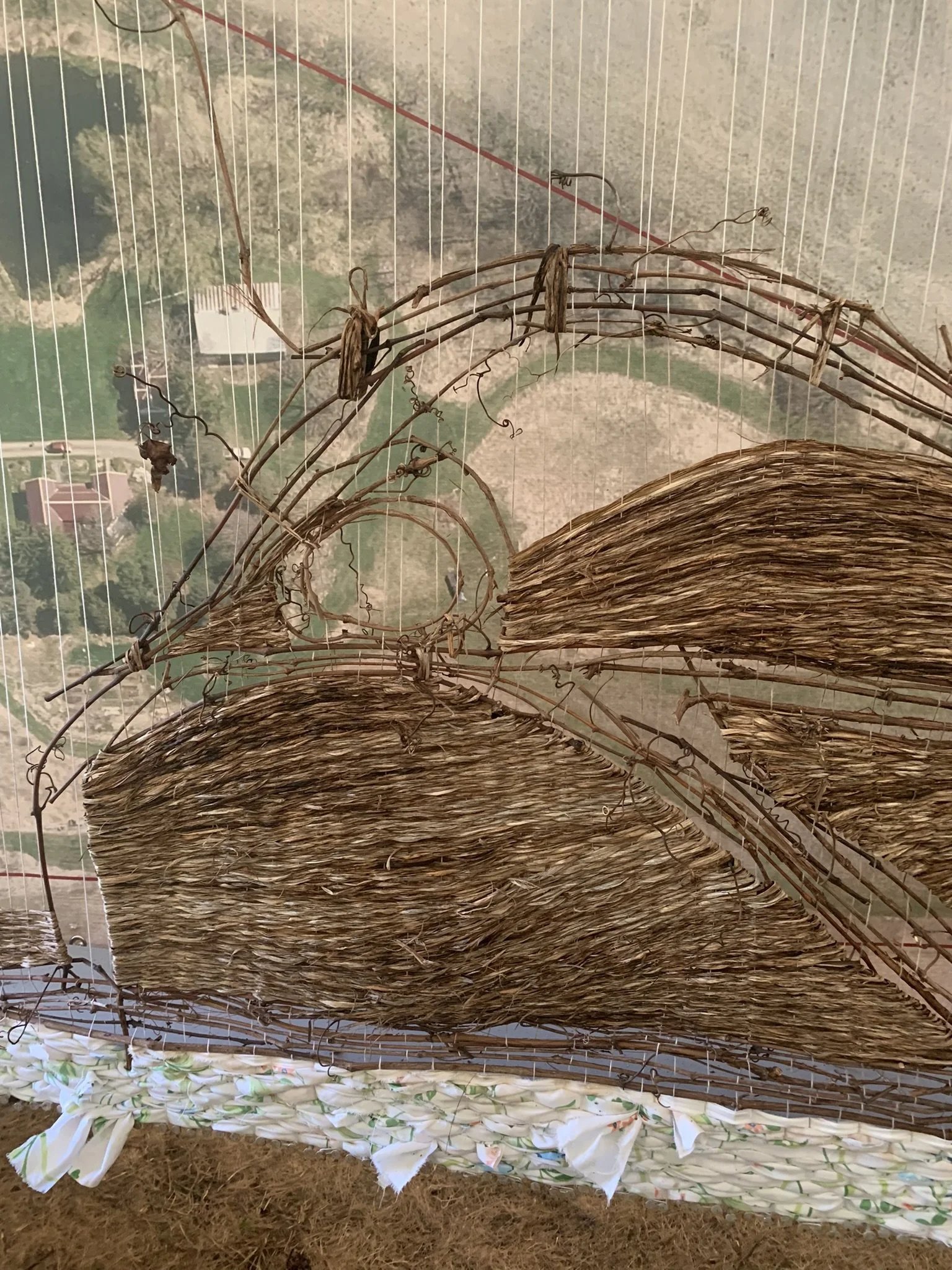 WtL_11_Zoe Van Nostrand_Fall 2025.JPEG