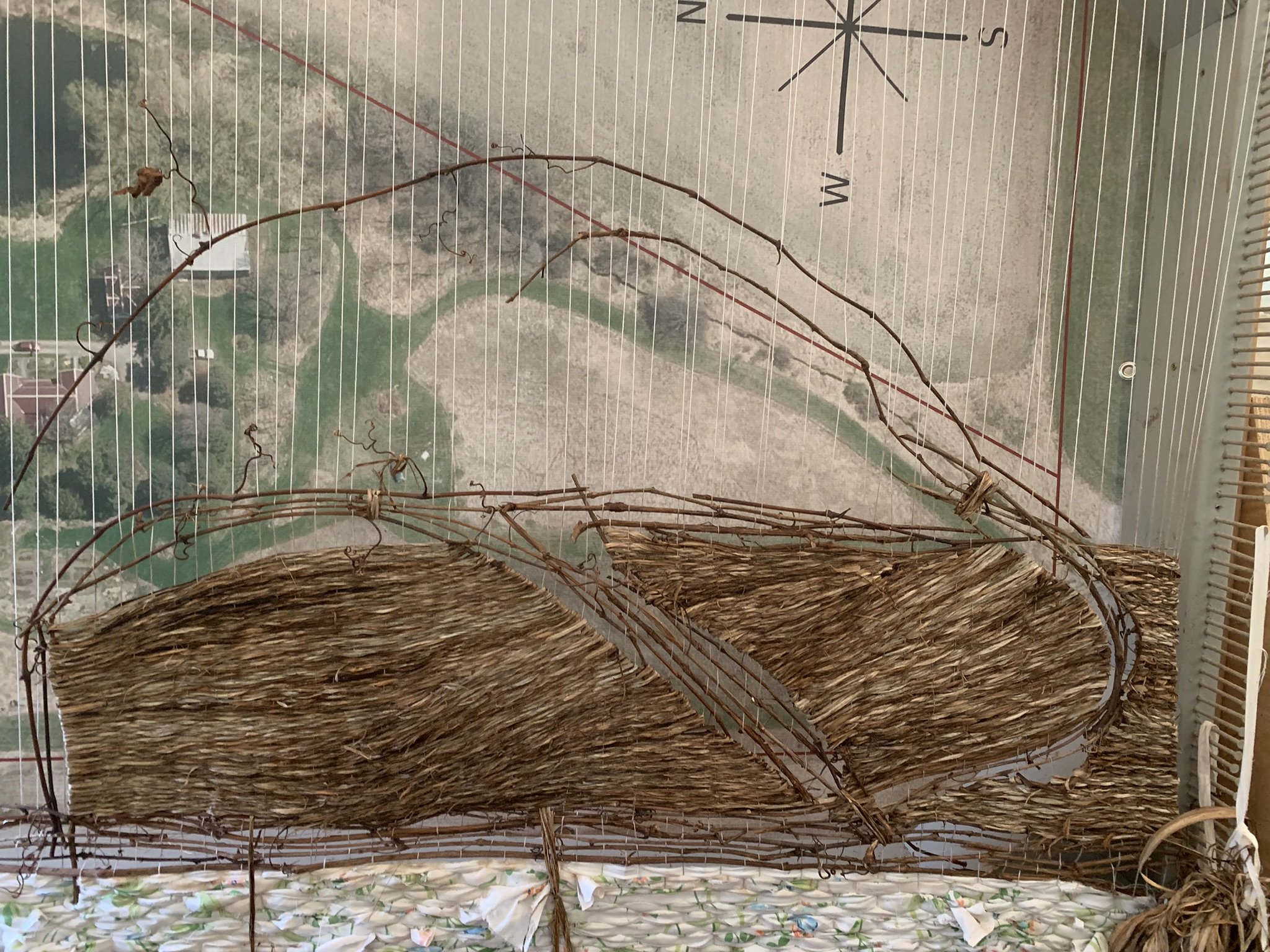 WtL_12_Zoe Van Nostrand_Fall 2025.JPEG