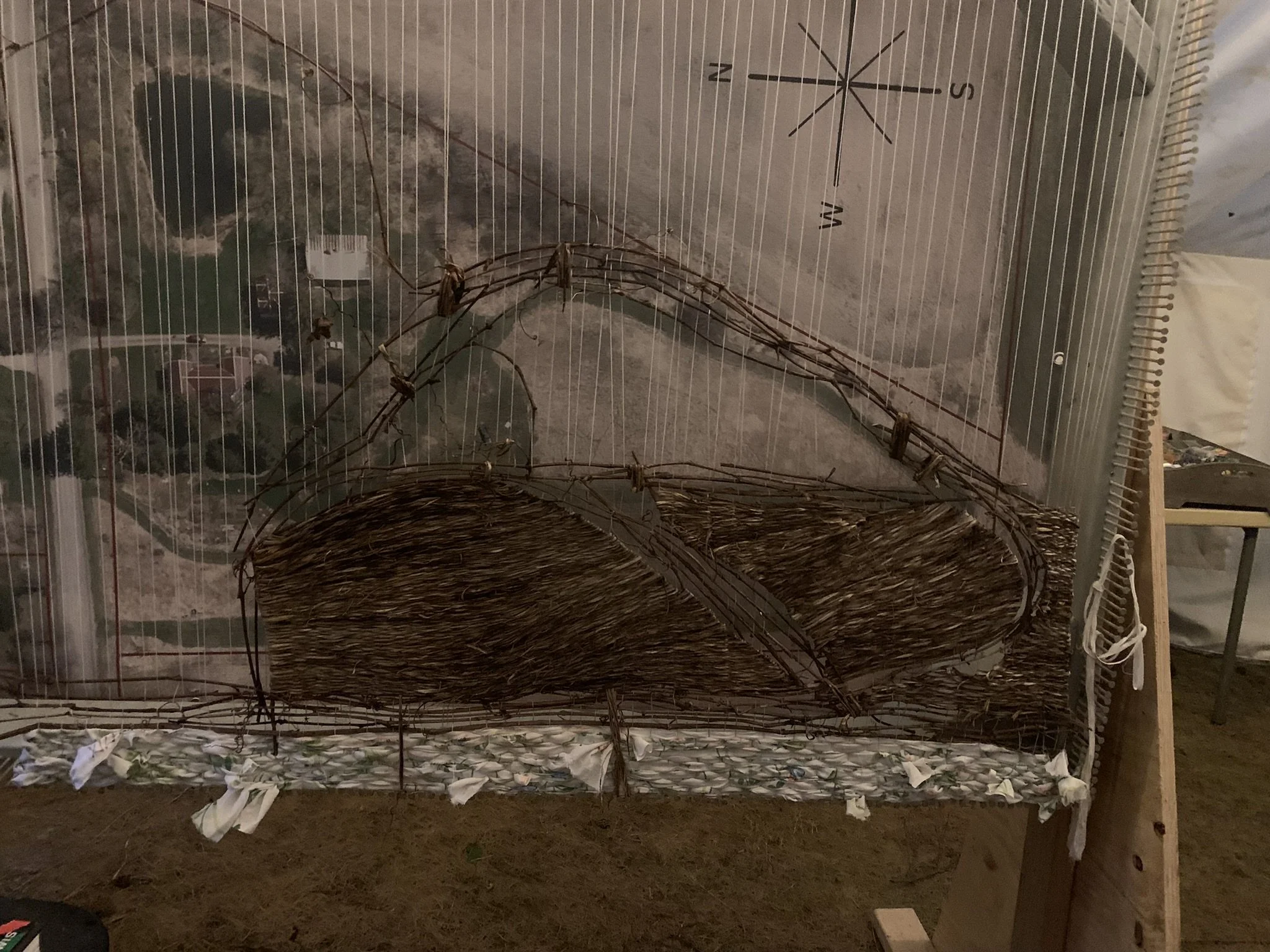 WtL_13_Zoe Van Nostrand_Fall 2025.JPEG