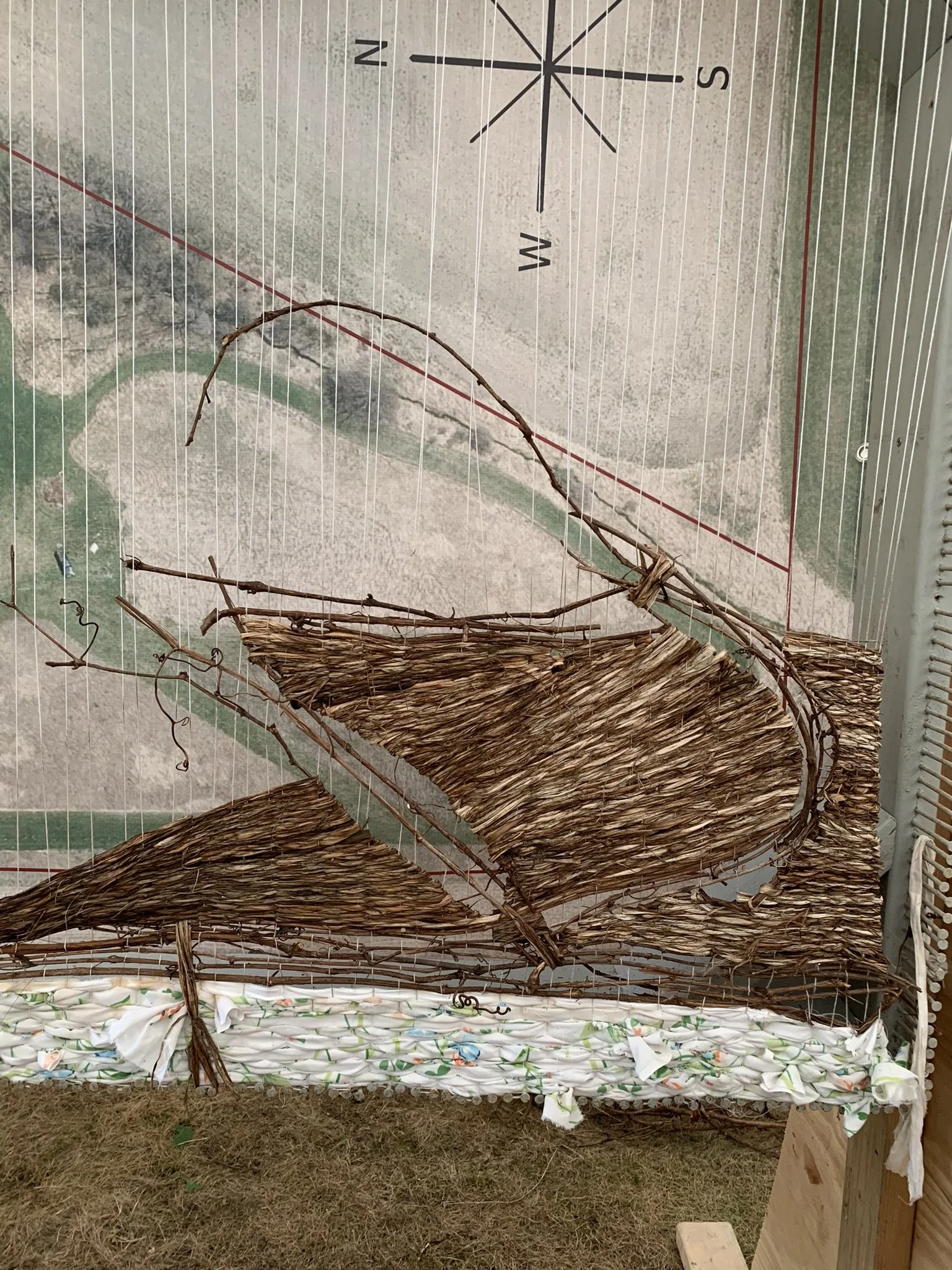 WtL_14_Zoe Van Nostrand_Fall 2025.JPEG