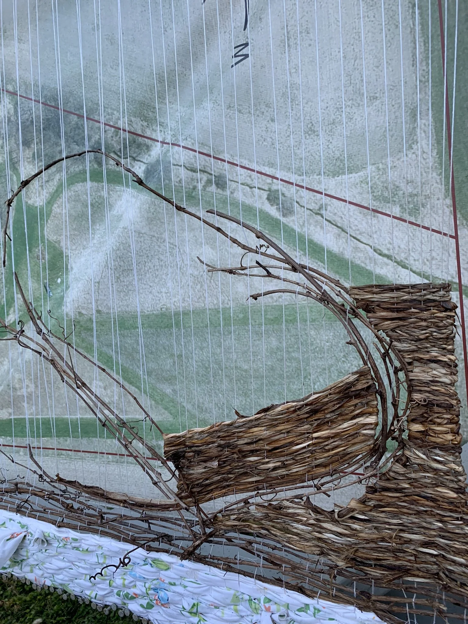 WtL_16_Zoe Van Nostrand_Fall 2025.JPEG