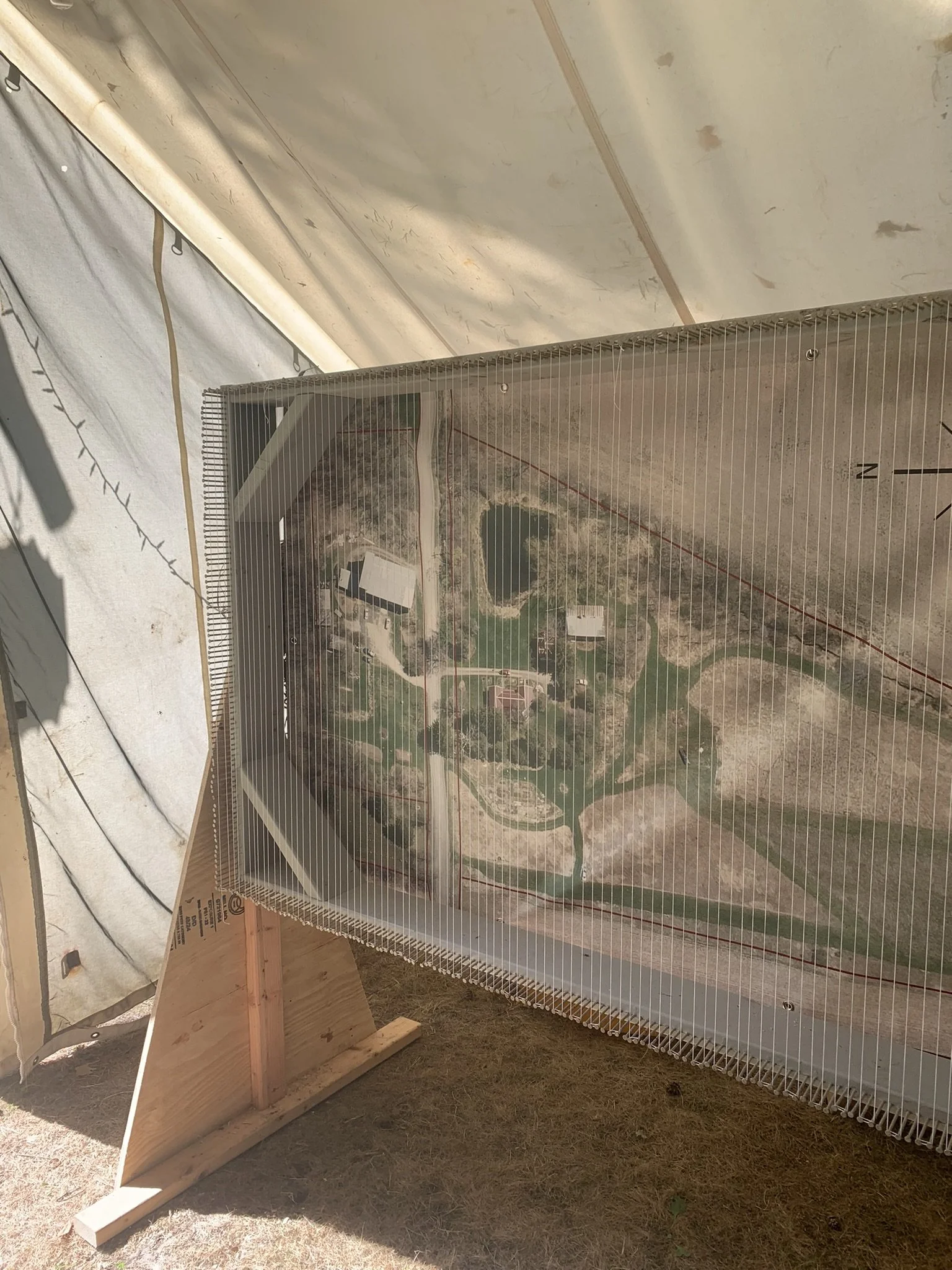 WtL_23_Zoe Van Nostrand_Fall 2025.JPEG