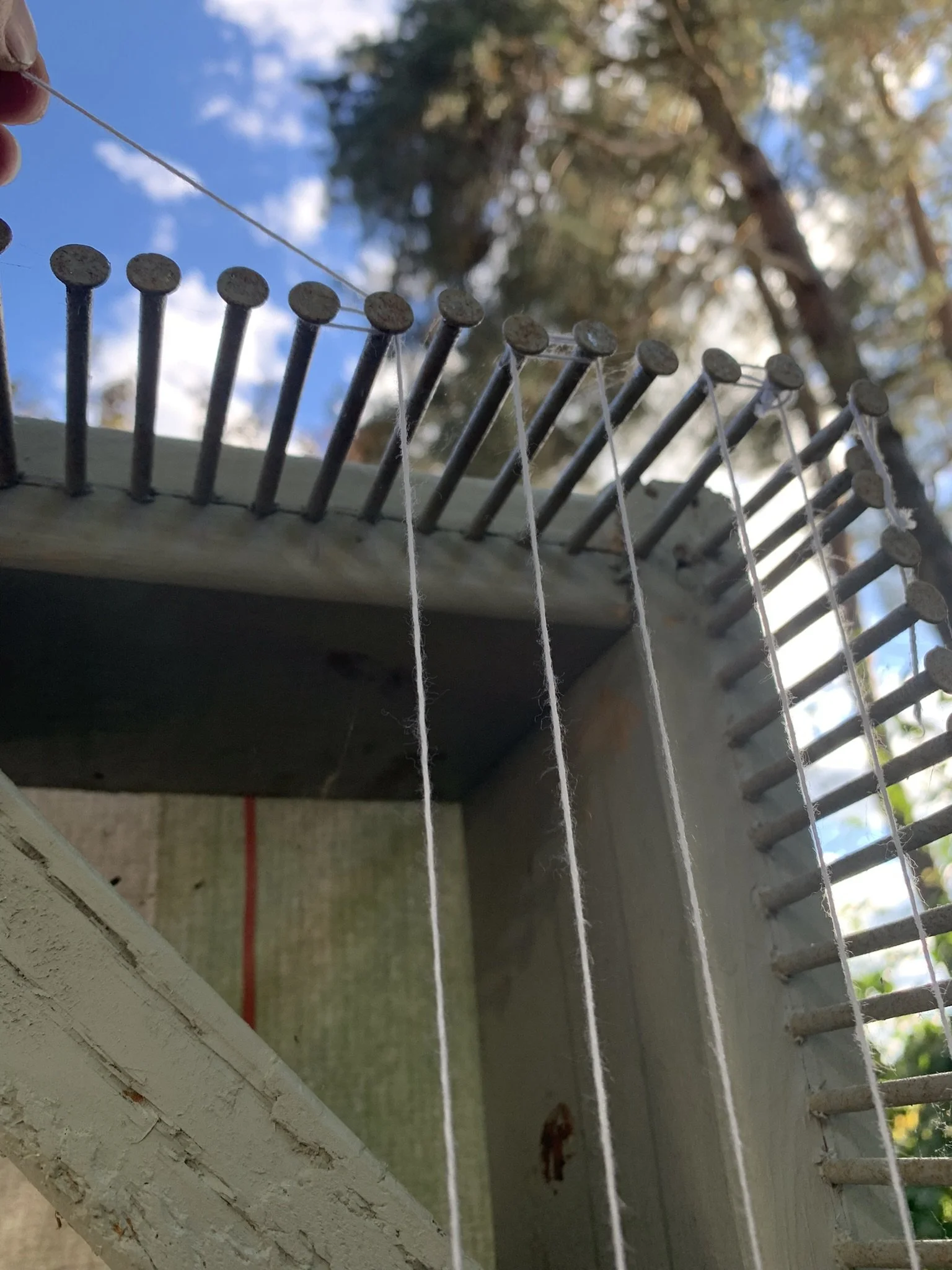 WtL_24_Zoe Van Nostrand_Fall 2025.JPEG