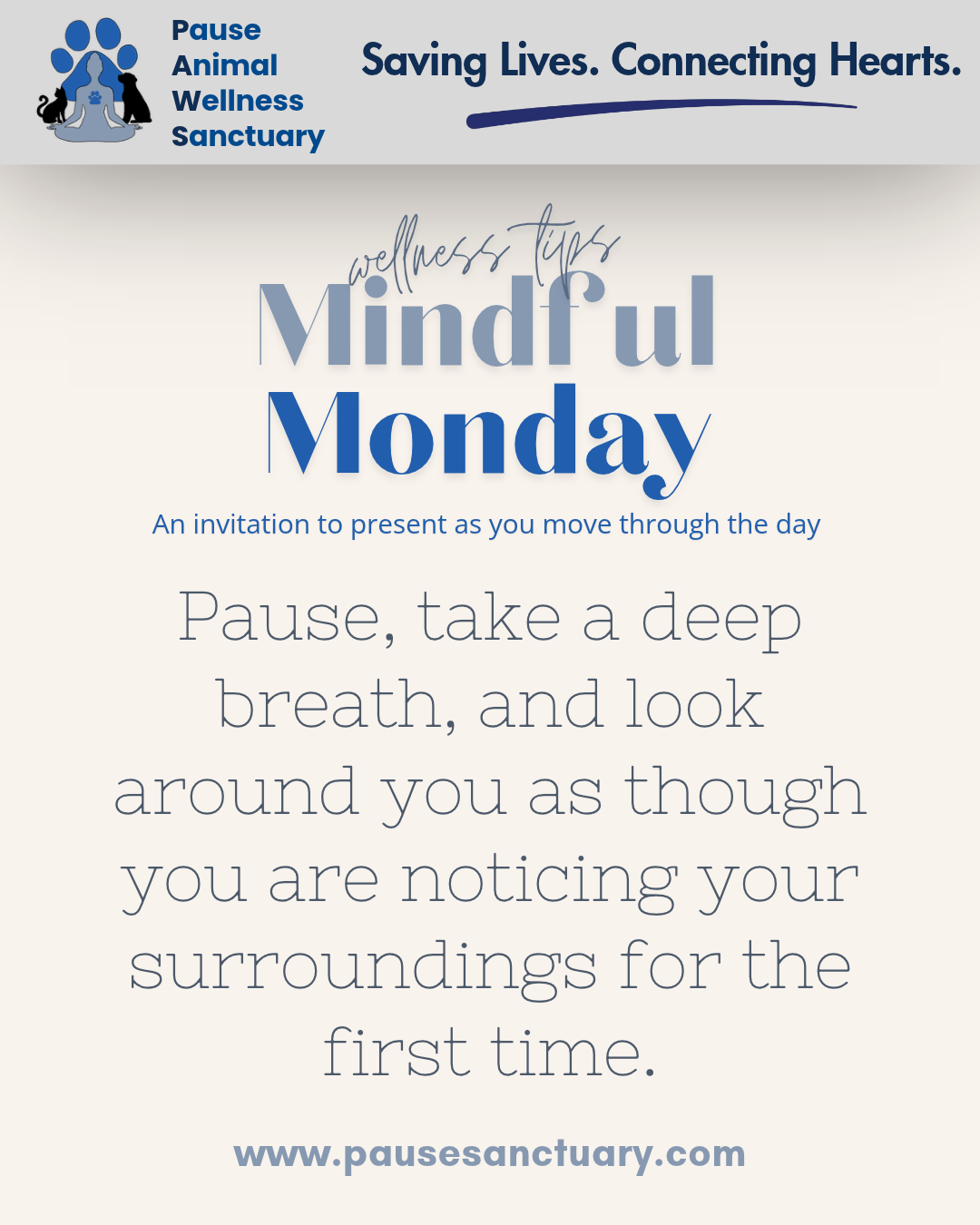 Mindful Monday