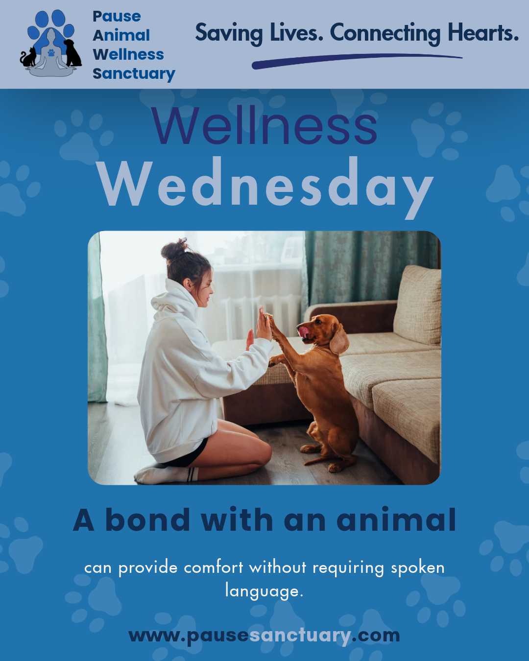 Wellness Wednesday