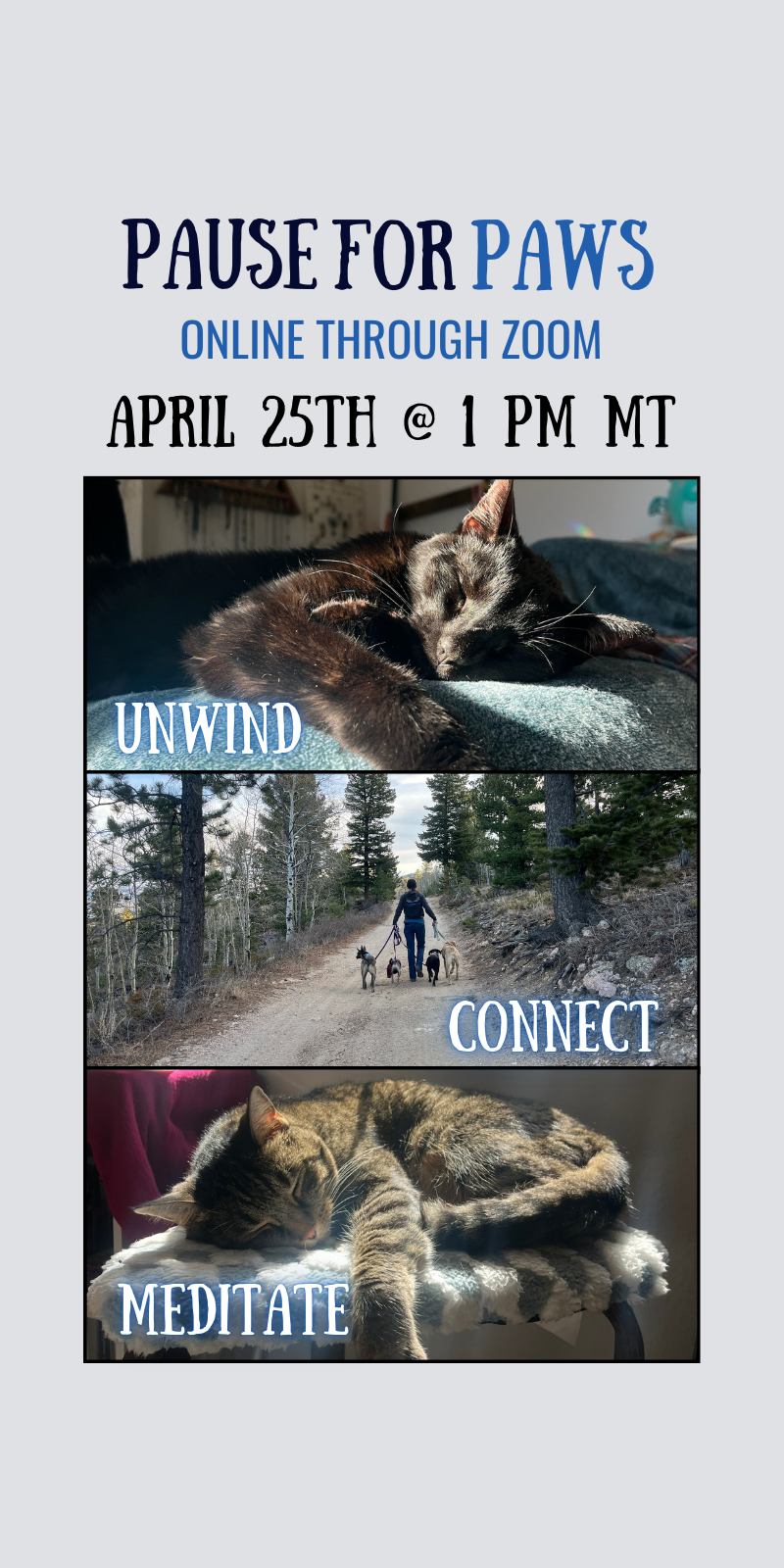 April 2026 Pause for PAWS Vertical centered small.png