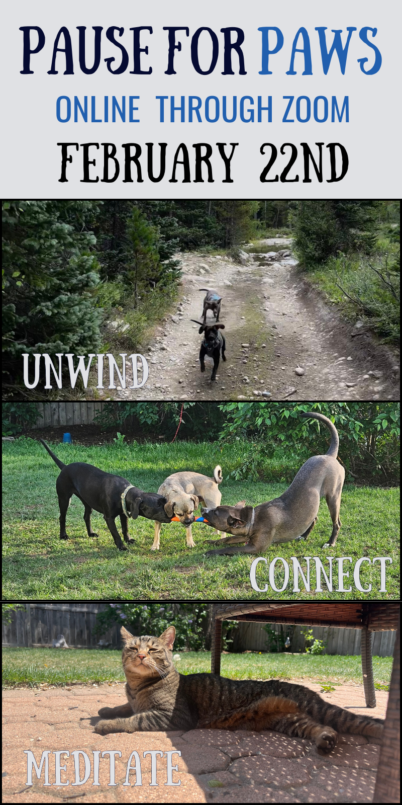 Pause for PAWS. Feb.png