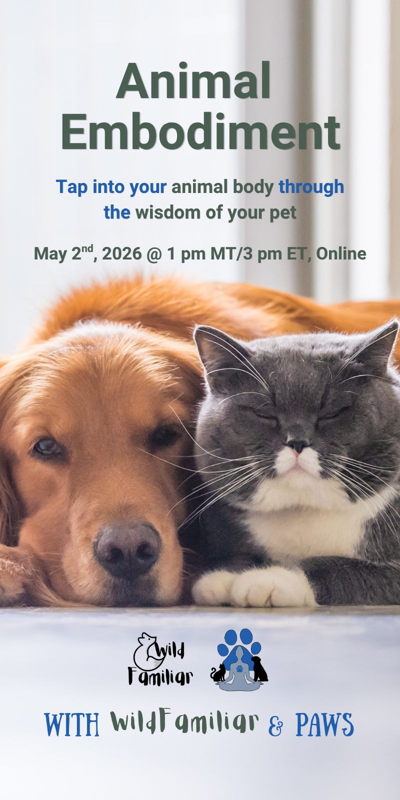 Animal Embodiment vertical.png
