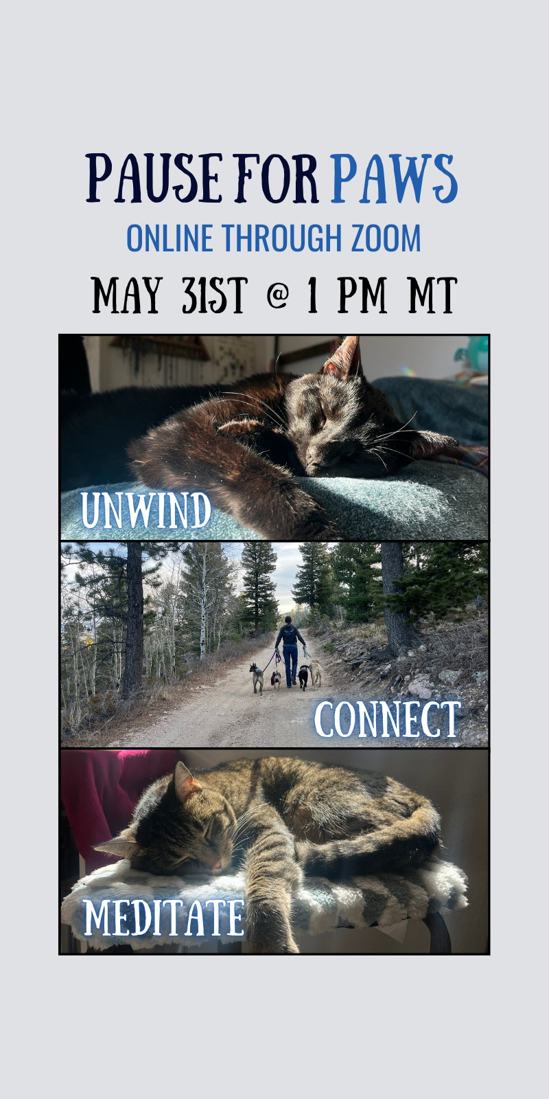 May 2026 Pause for PAWS Vertical small centered.png