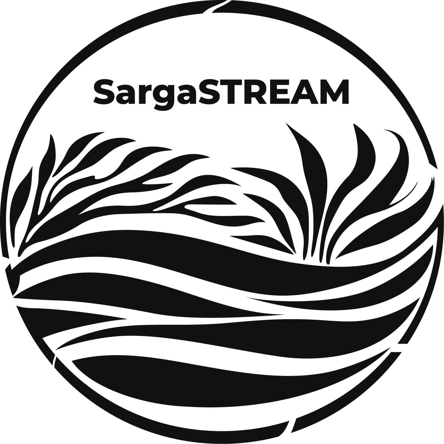 SargaSTREAM: Action-based Research on Sargassum Tracking, Education, Air Quality and Markets