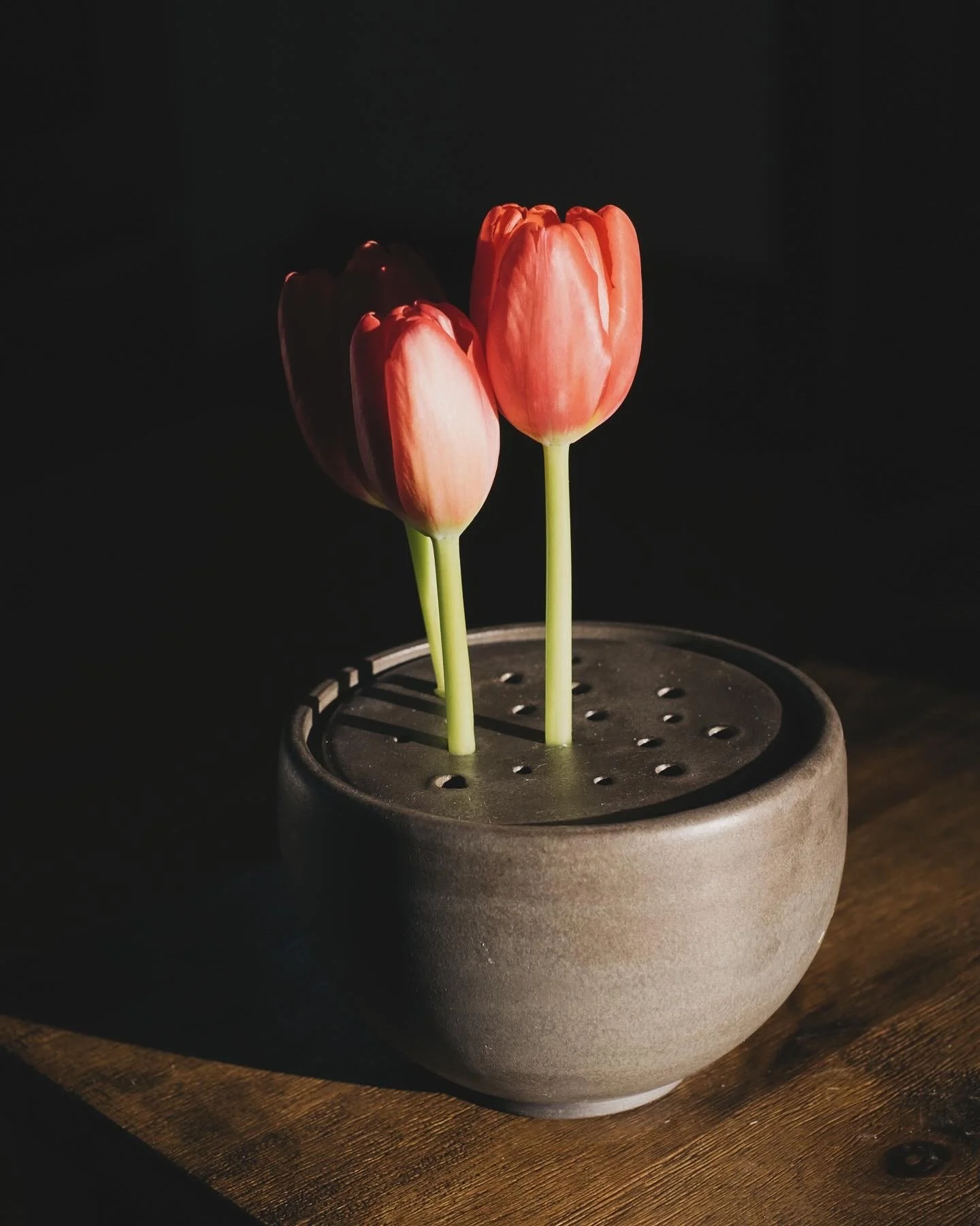 charcoal sprout bowl, medium