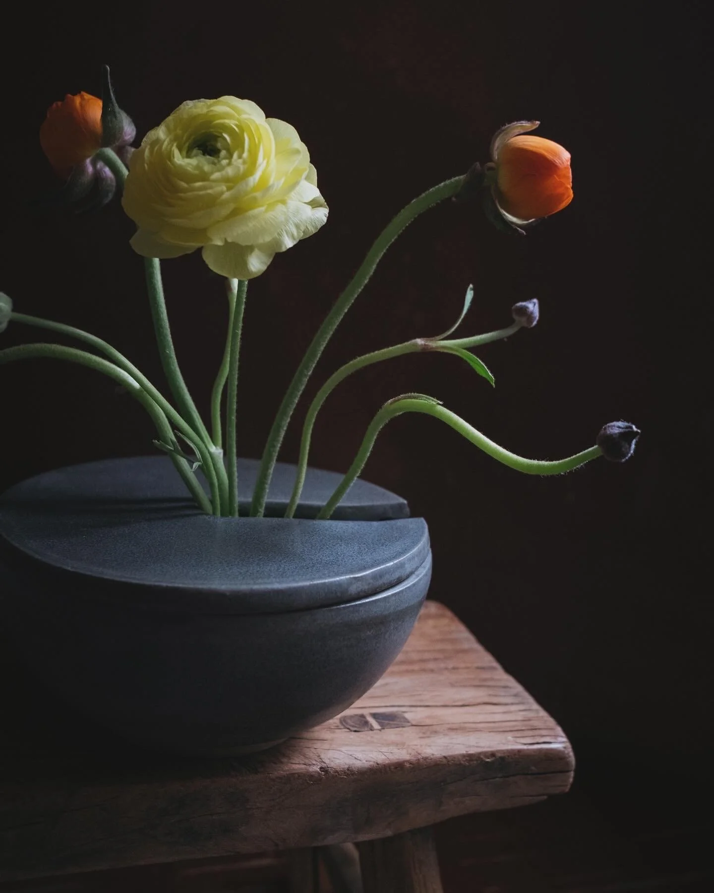 charcoal sprout bowl, with lid