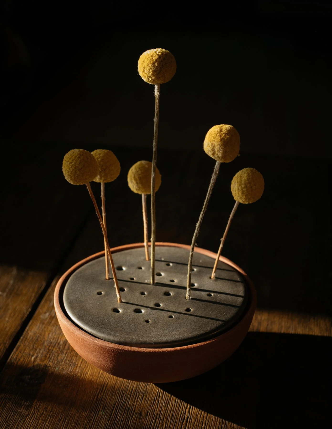 SOLD OUT - two toned sprout dish, medium