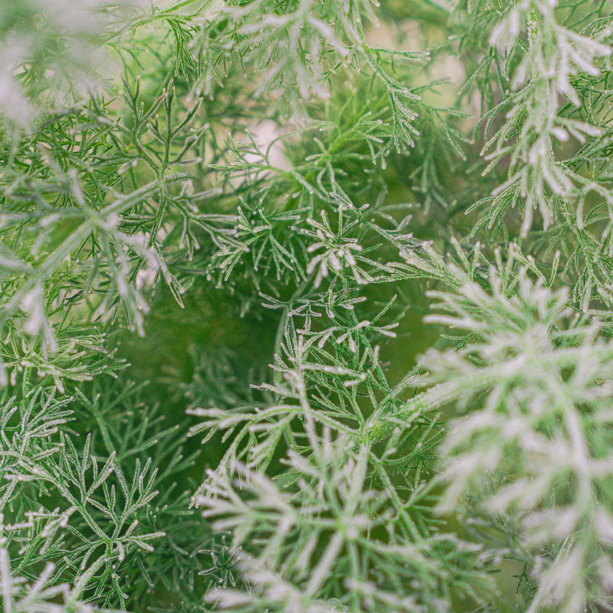 DSC01216.jpg