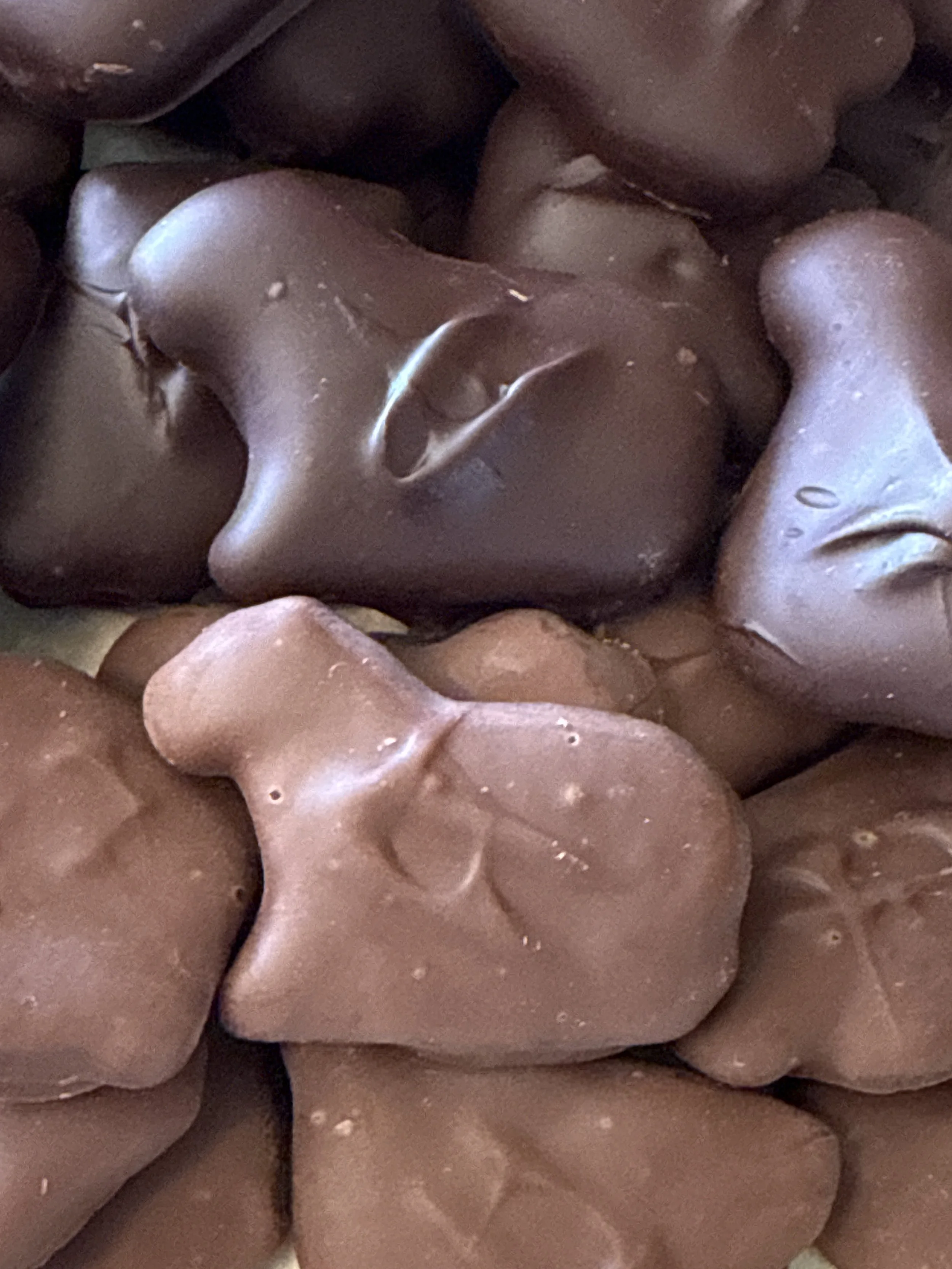 Animal Crackers