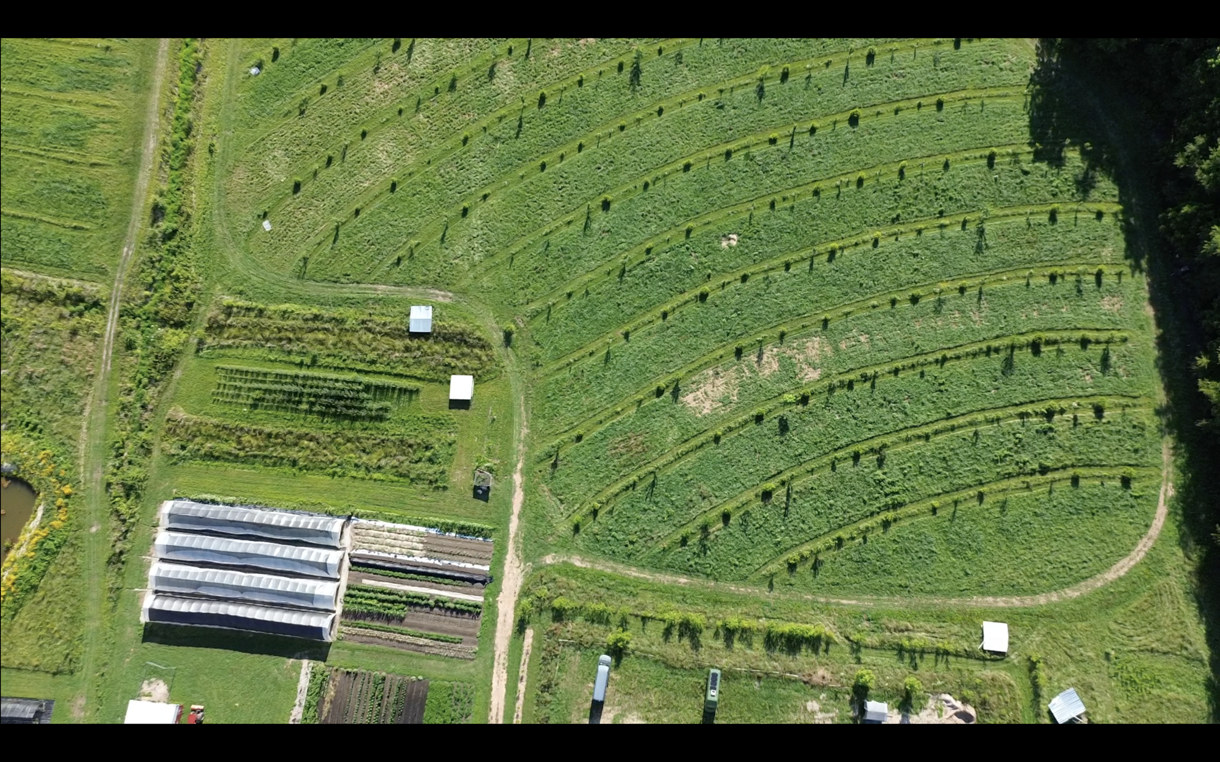 Agroforestry Design