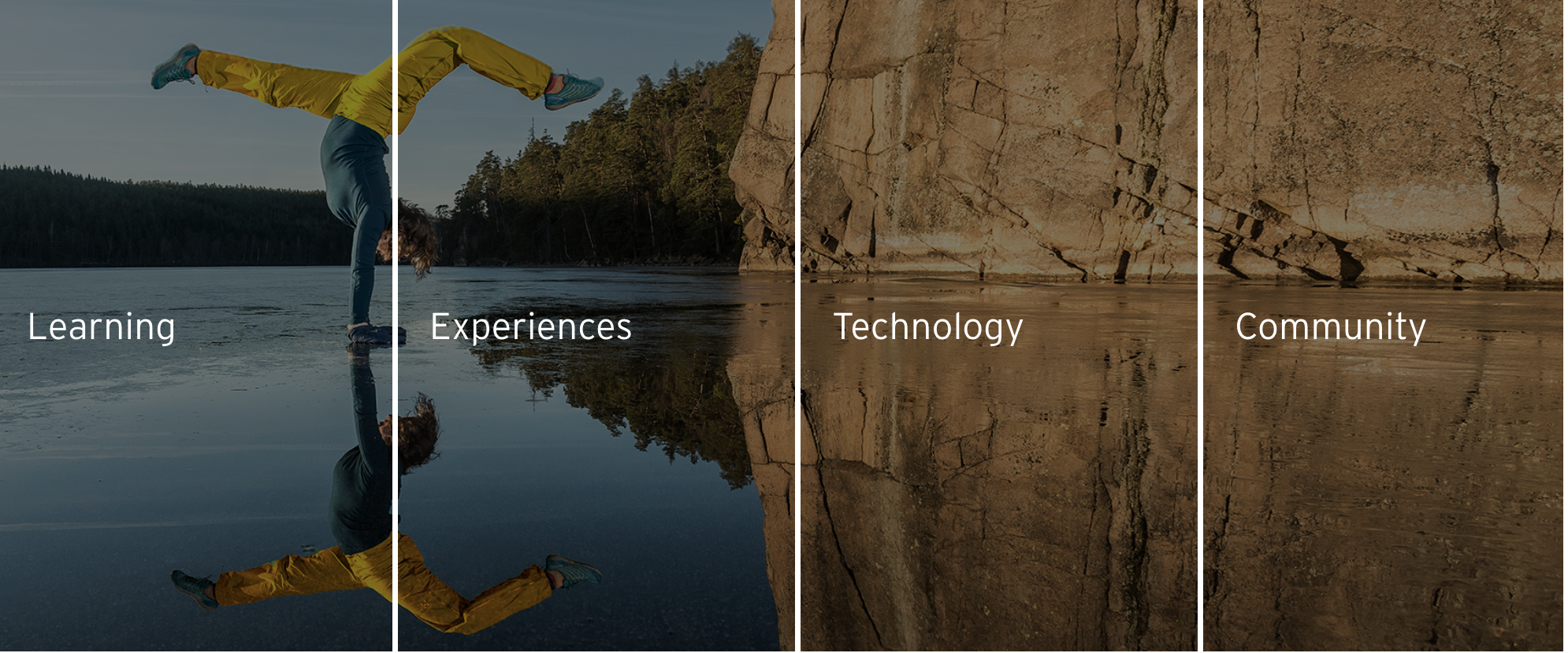 Ernst & Young Consultant