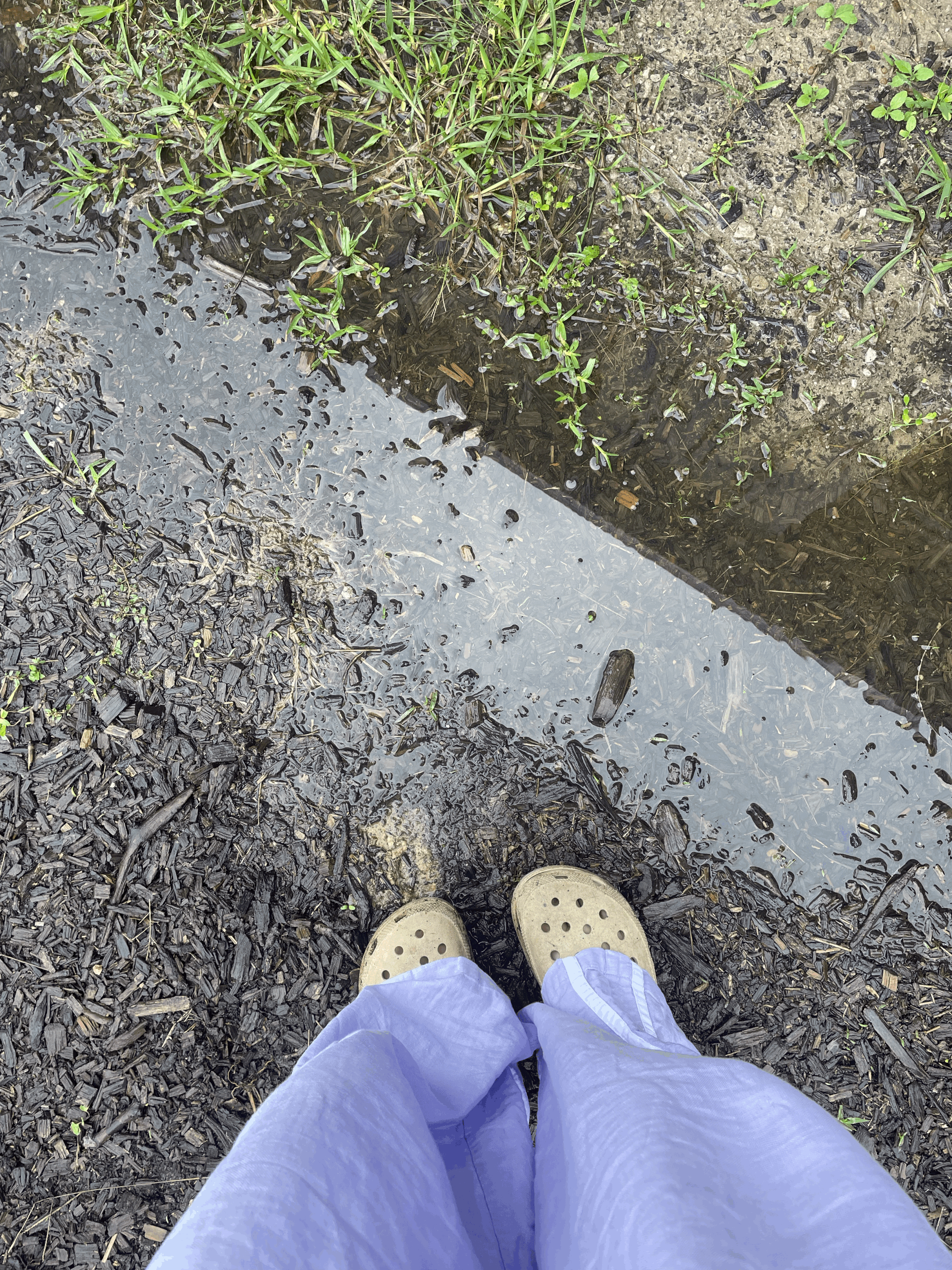 The puddle that made me pause