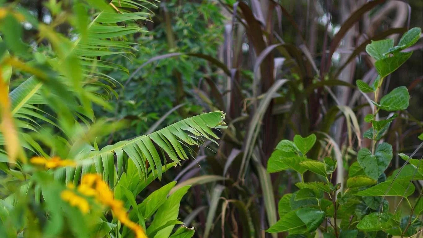 Cas sitting designing on iPad.jpg