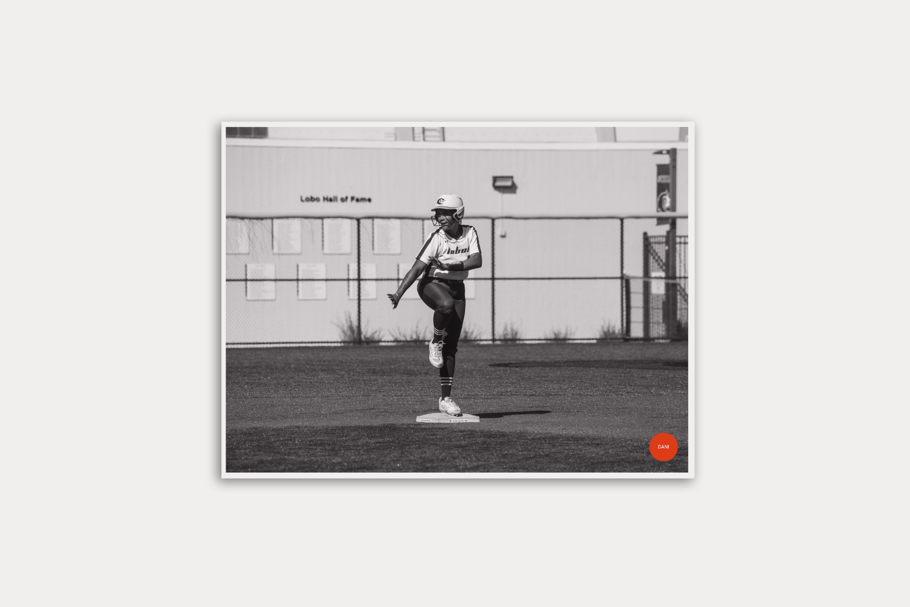 Copy of Your paragraph text (24).png