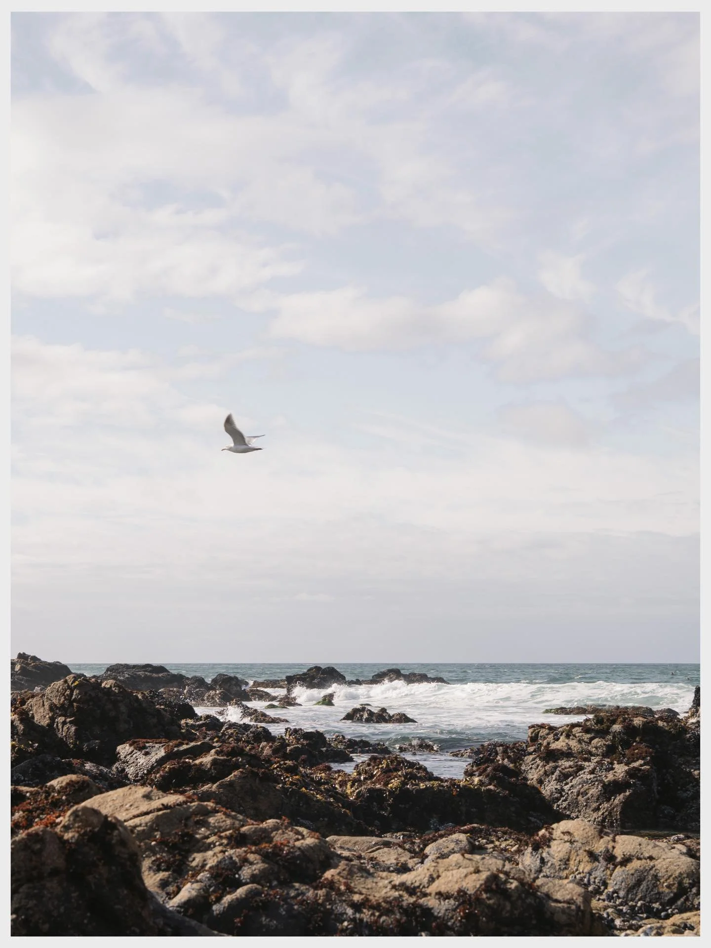 the first photos of 2026 (01.01.26)