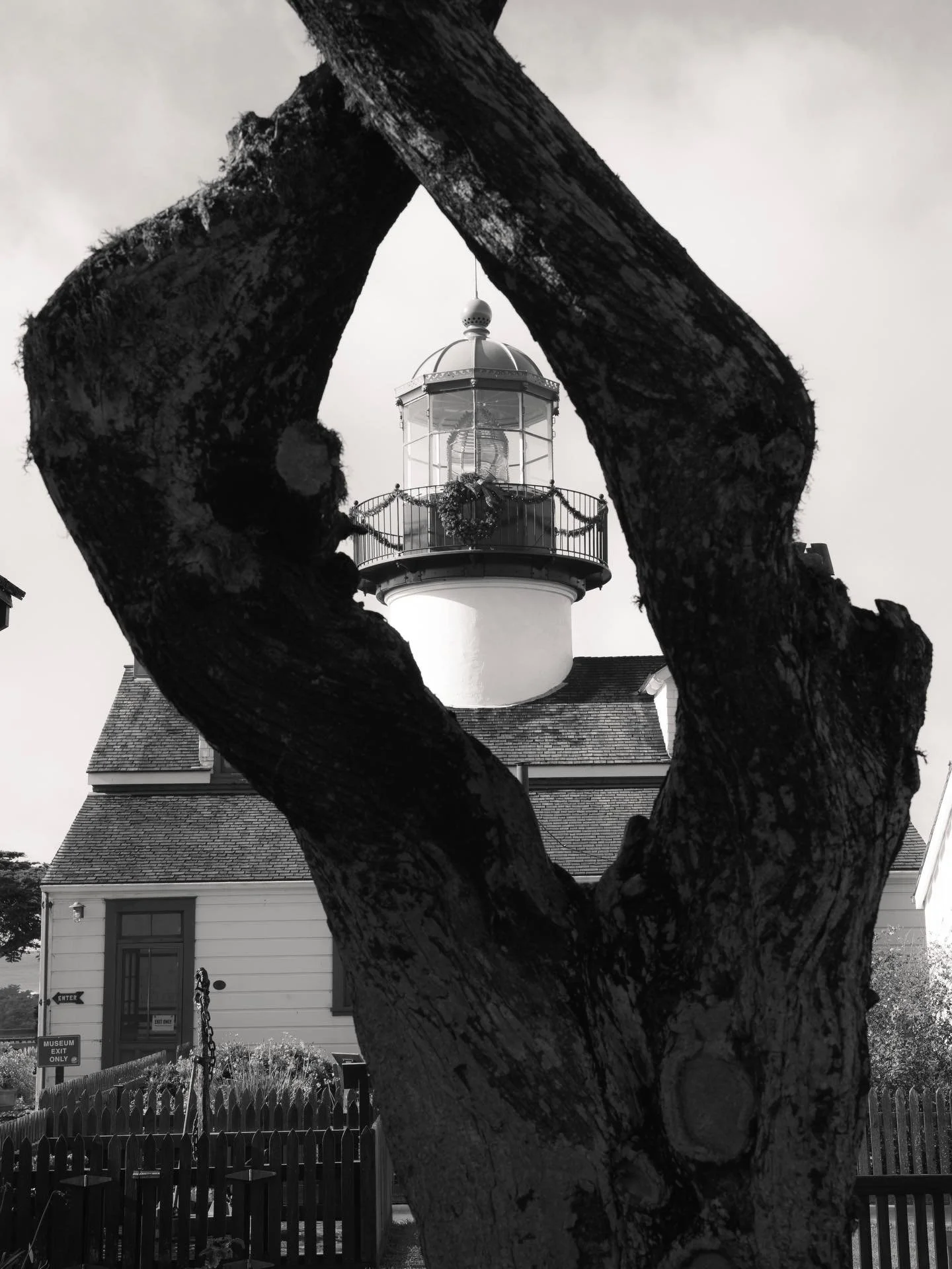 shine Point Pinos, shine