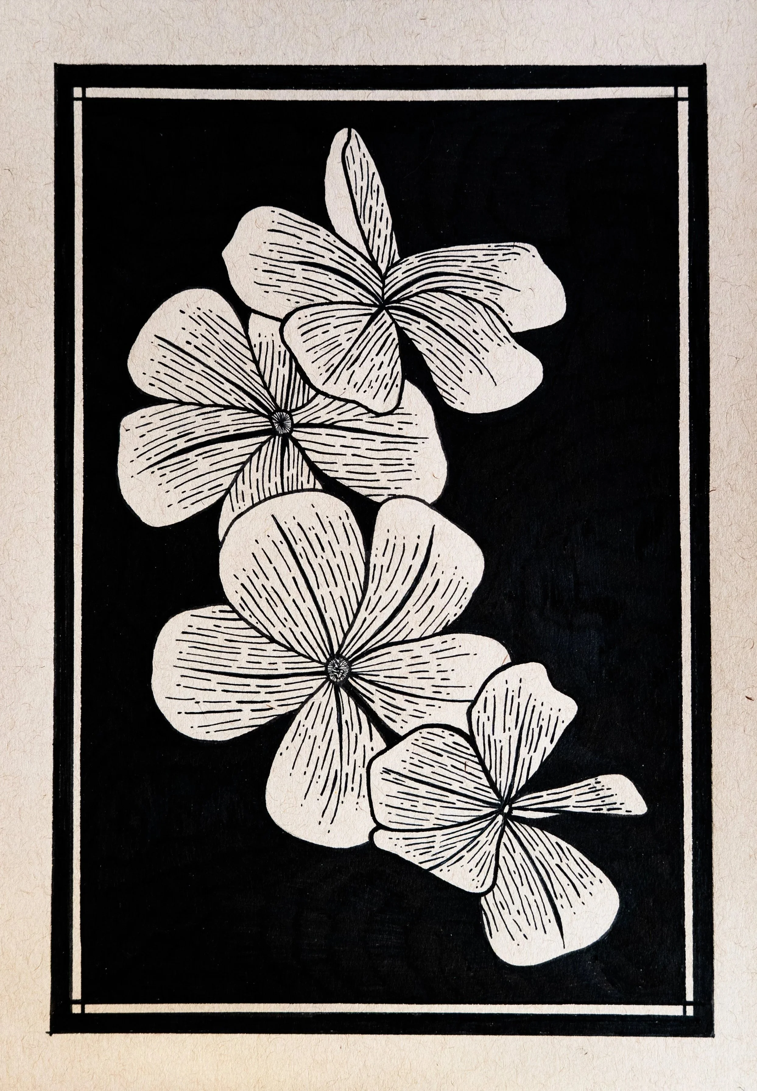 Floating Flowers - Pen & Ink on Toned Tan Paper