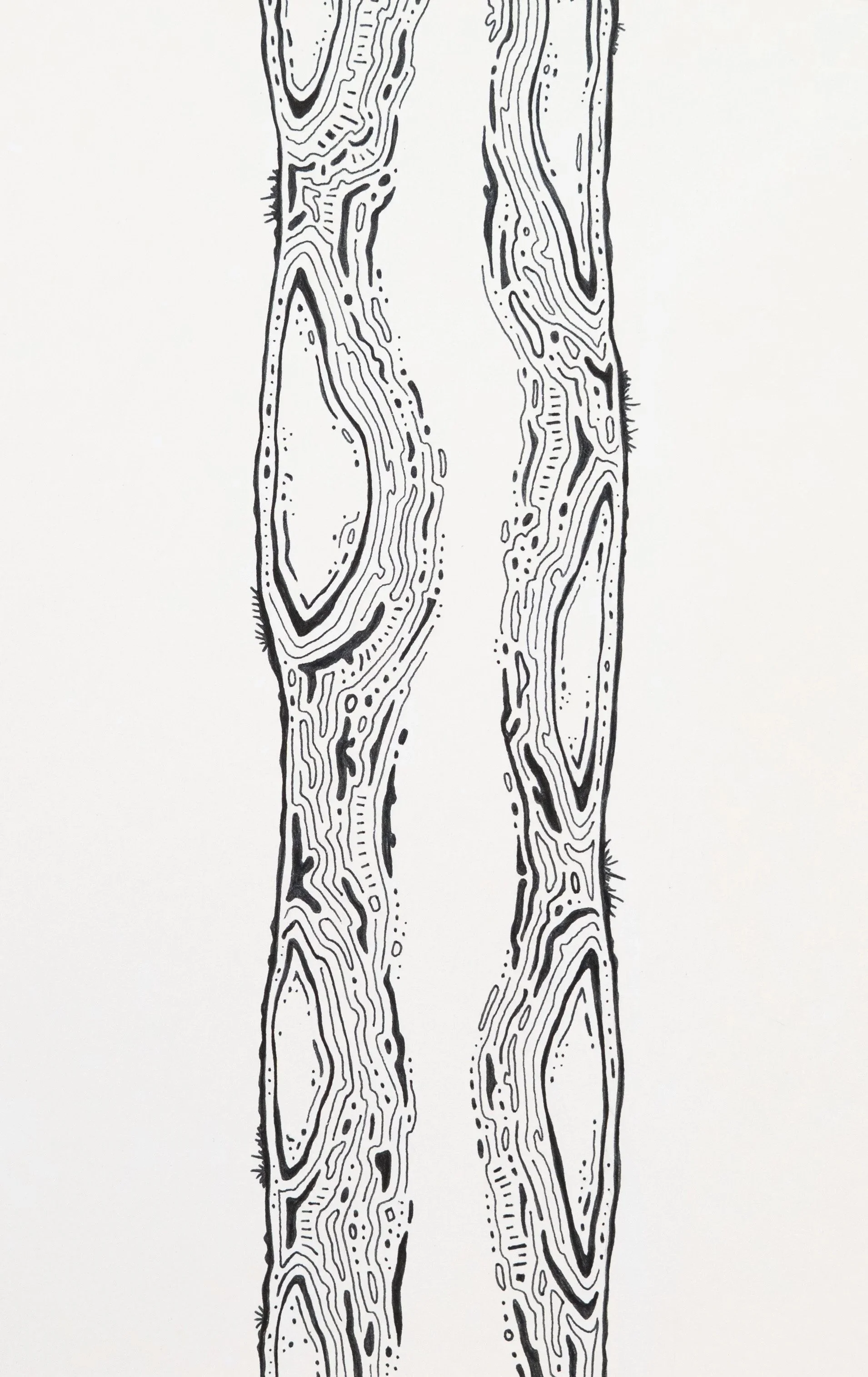 Branch - Pen & Ink on Sketch Paper