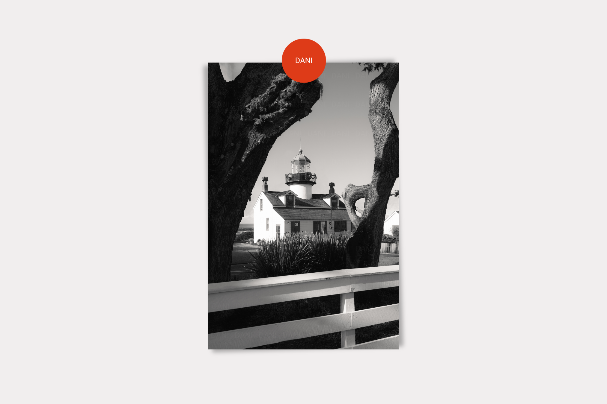 Point Pinos 03 Print