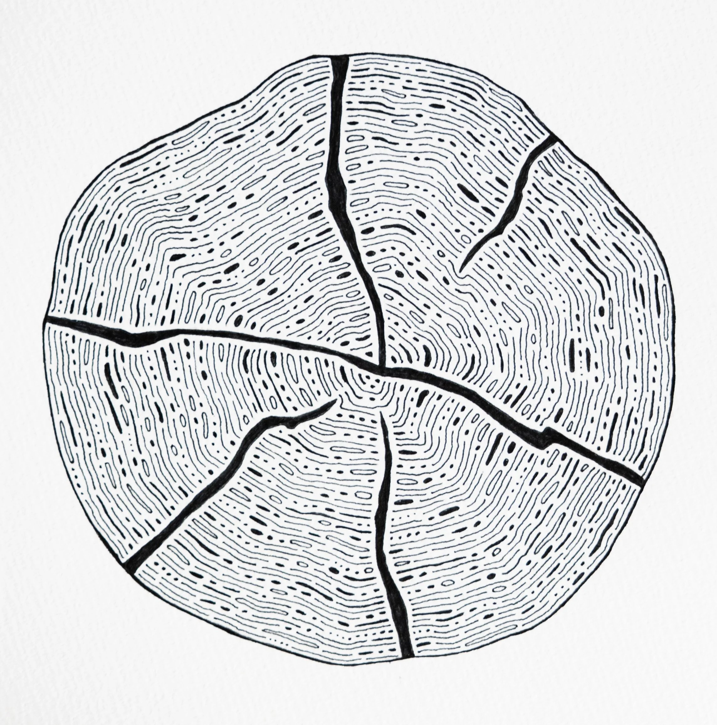 Type A Stump - Pen & Ink on Sketch Paper