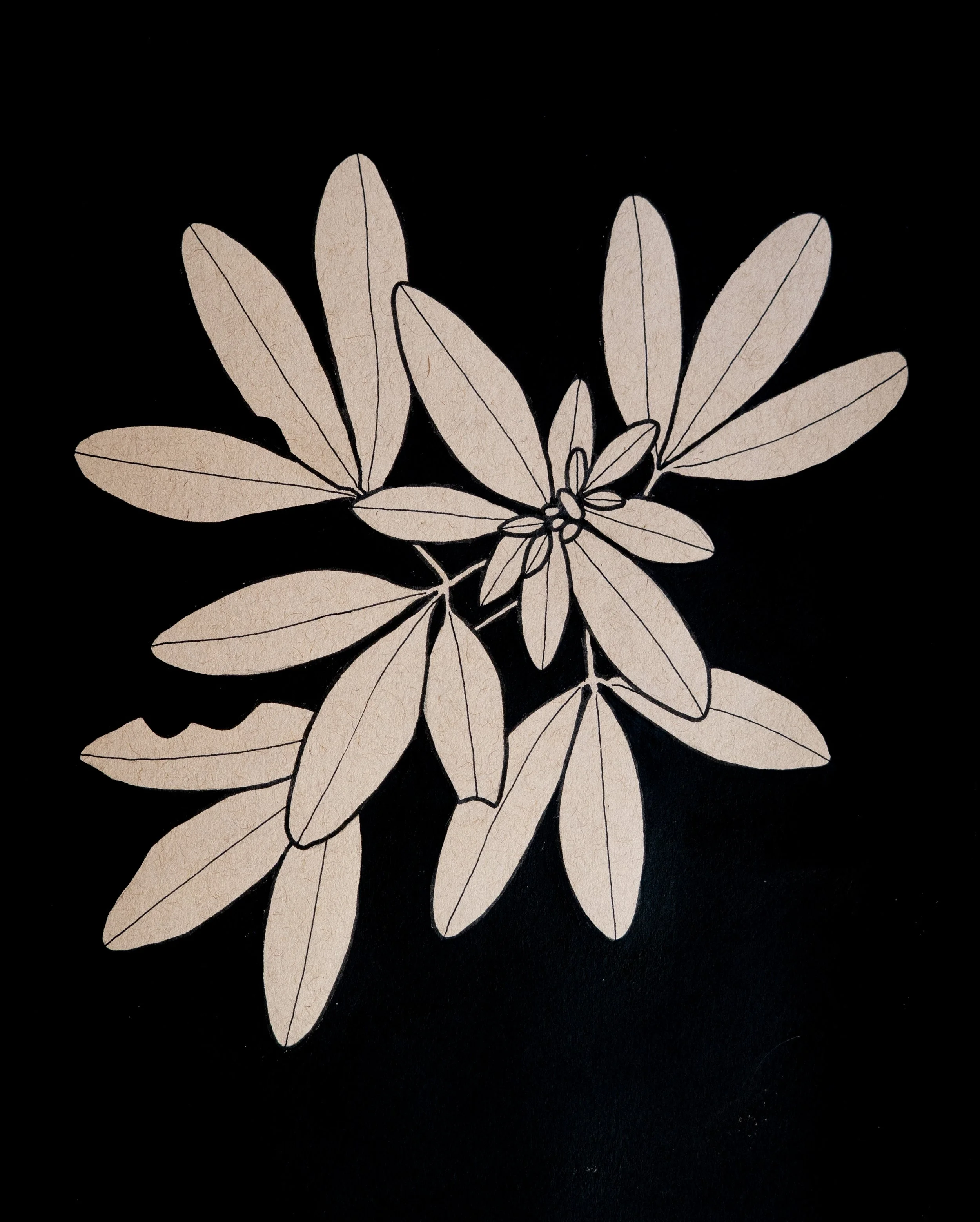 Eaten Leaves - Acrylic & Pen on Toned Tan Paper
