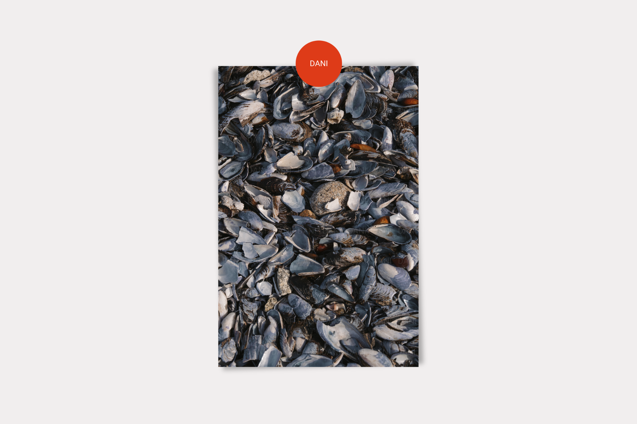 A Million Mussels Print