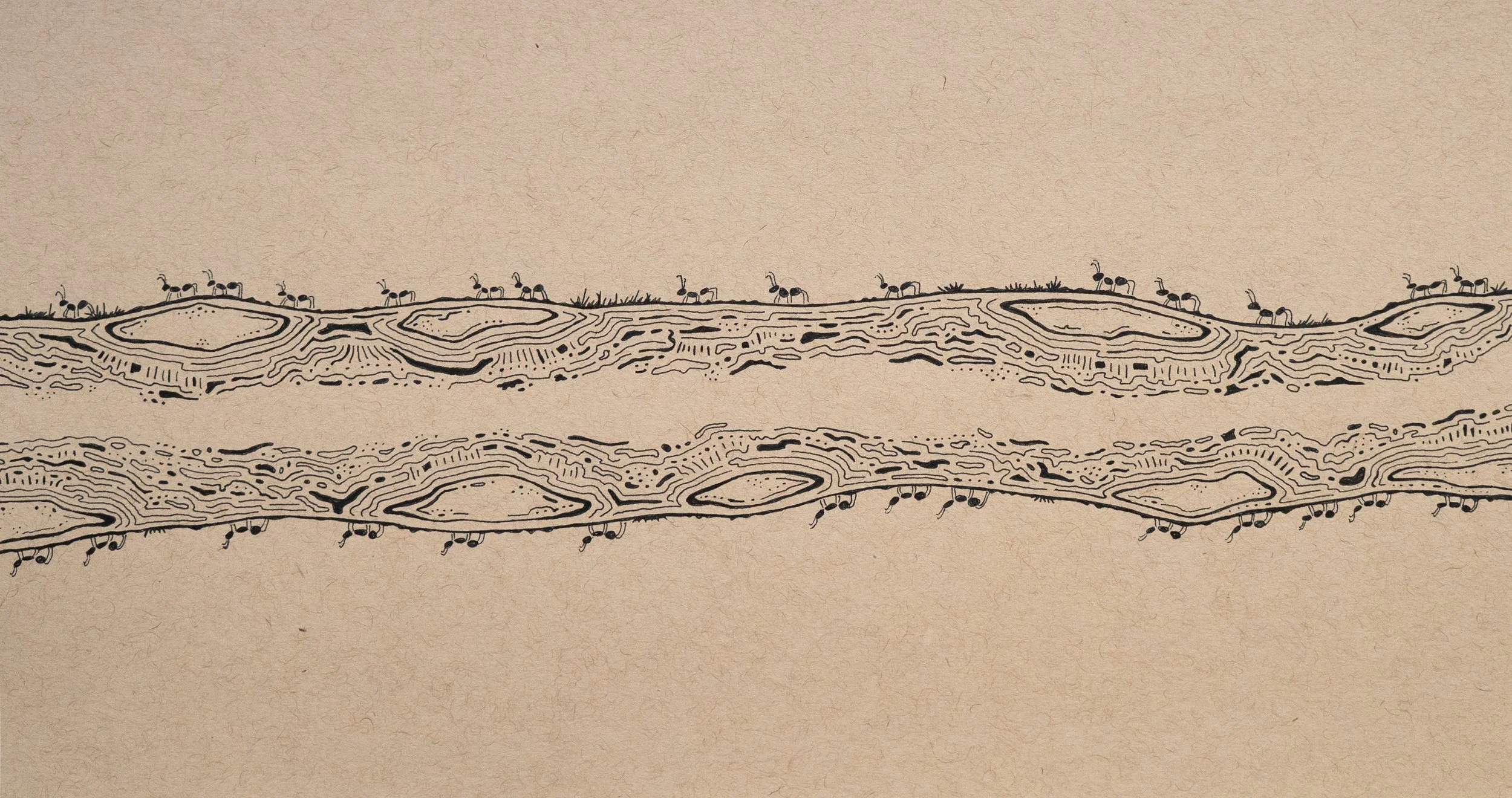 Ants On A Log - Pen & Ink on Toned Tan Paper