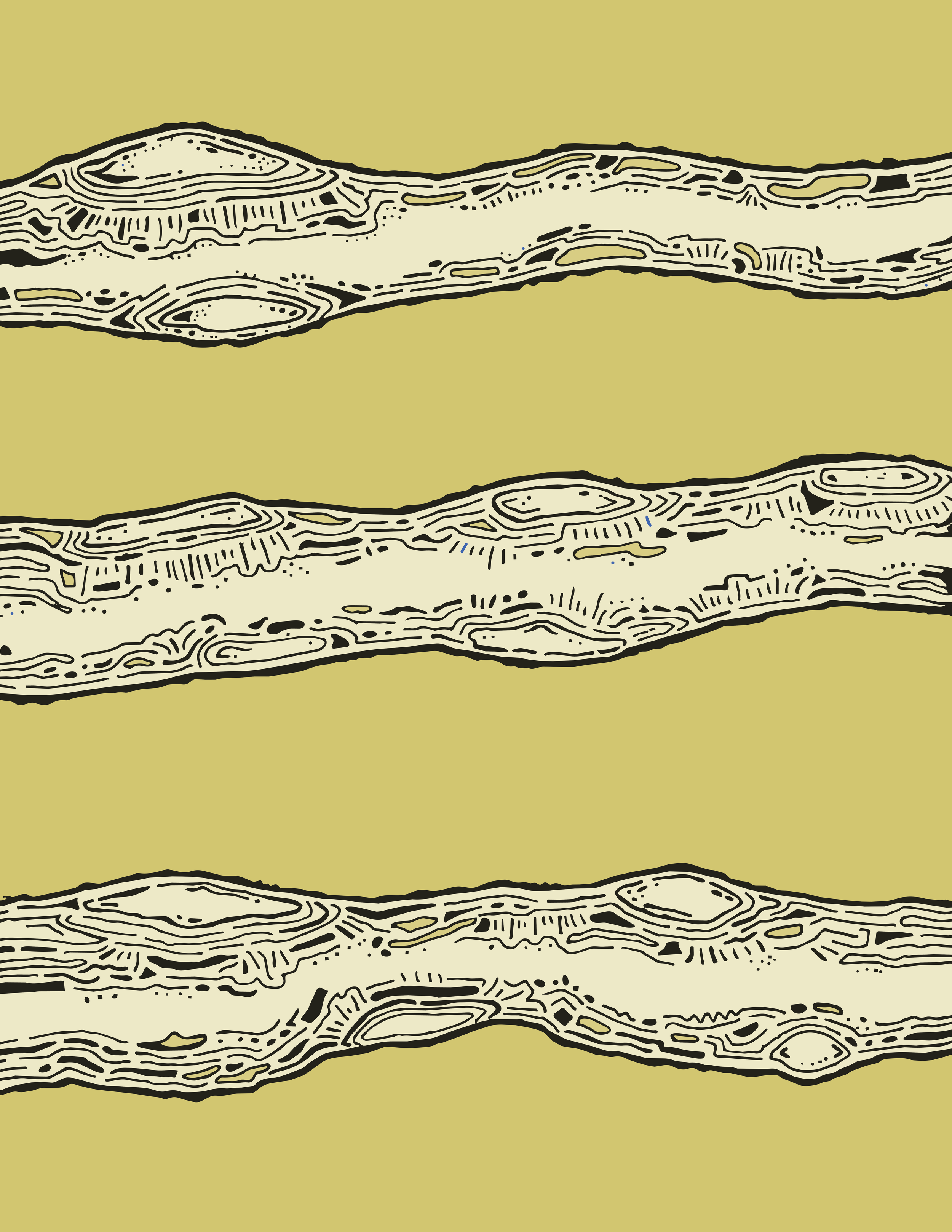 Interpretive Tree Branches - Pen & Ink Drawing turned into Digital Illustration