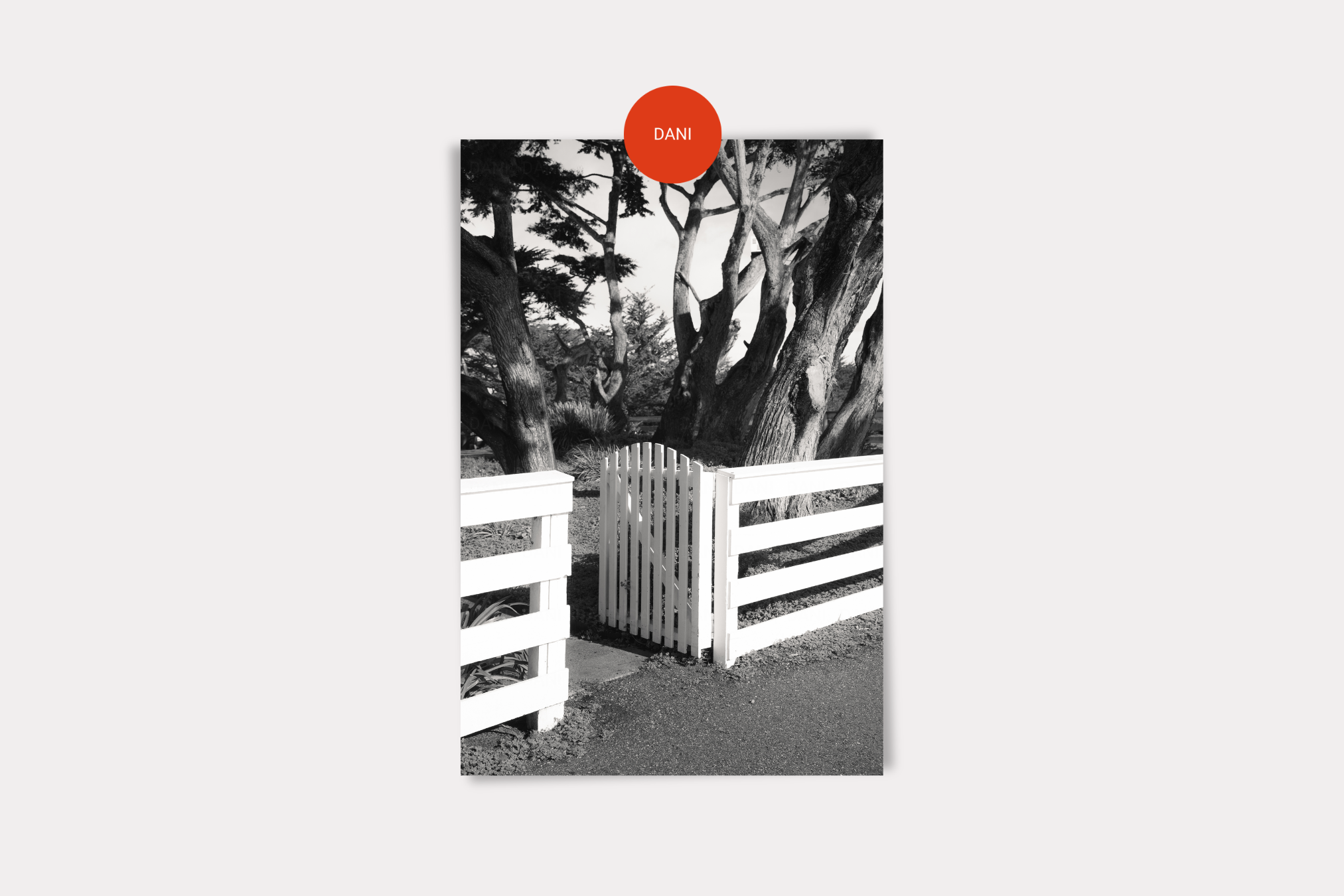 Point Pinos 02 Print