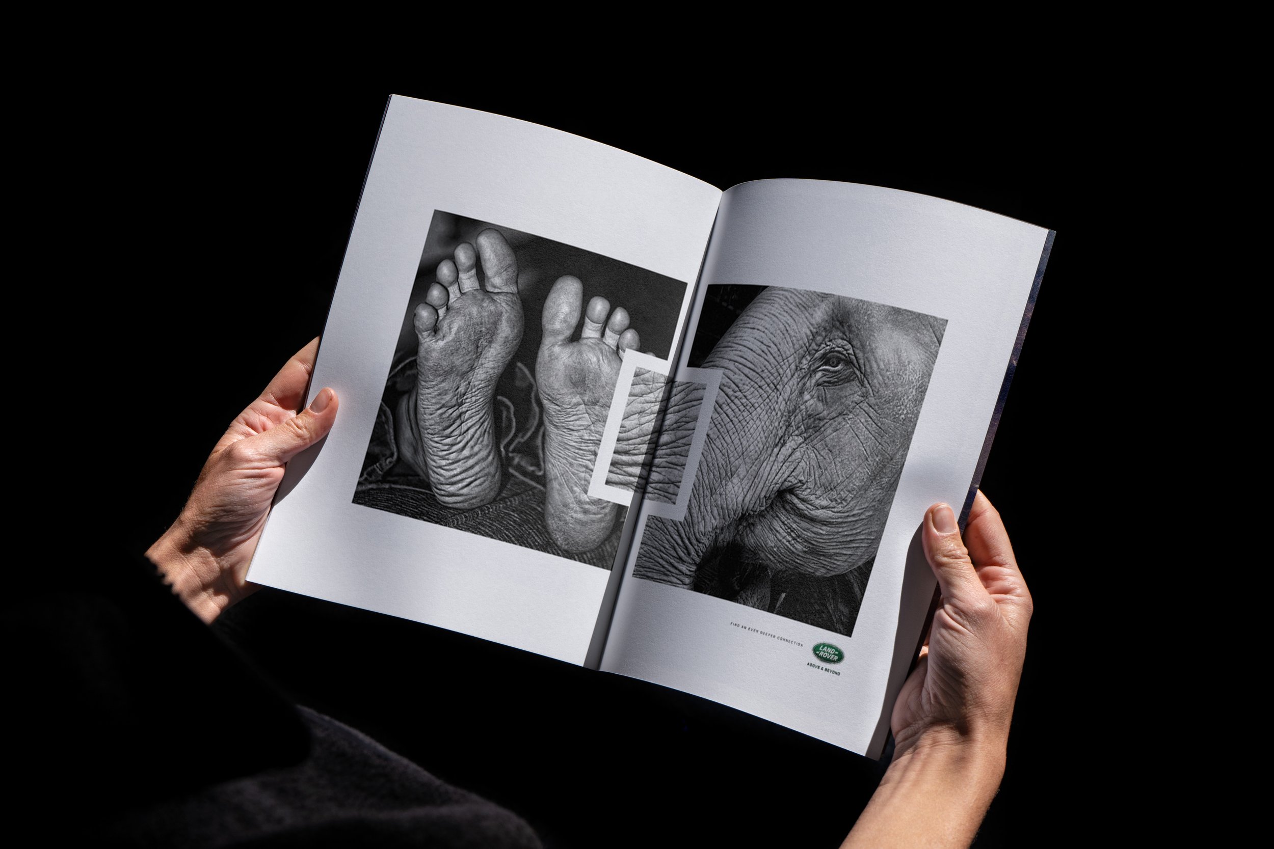 Person holding open magazine with black-and-white photos of elephant's face and feet.
