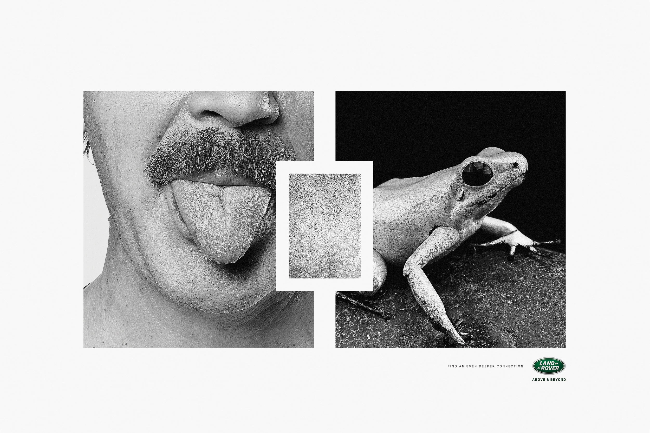 A split black and white image showing a man's face with his tongue out on the left side, and a frog on the right side. The Land Rover logo and the slogan "Find an even deeper connection" are at the bottom right.