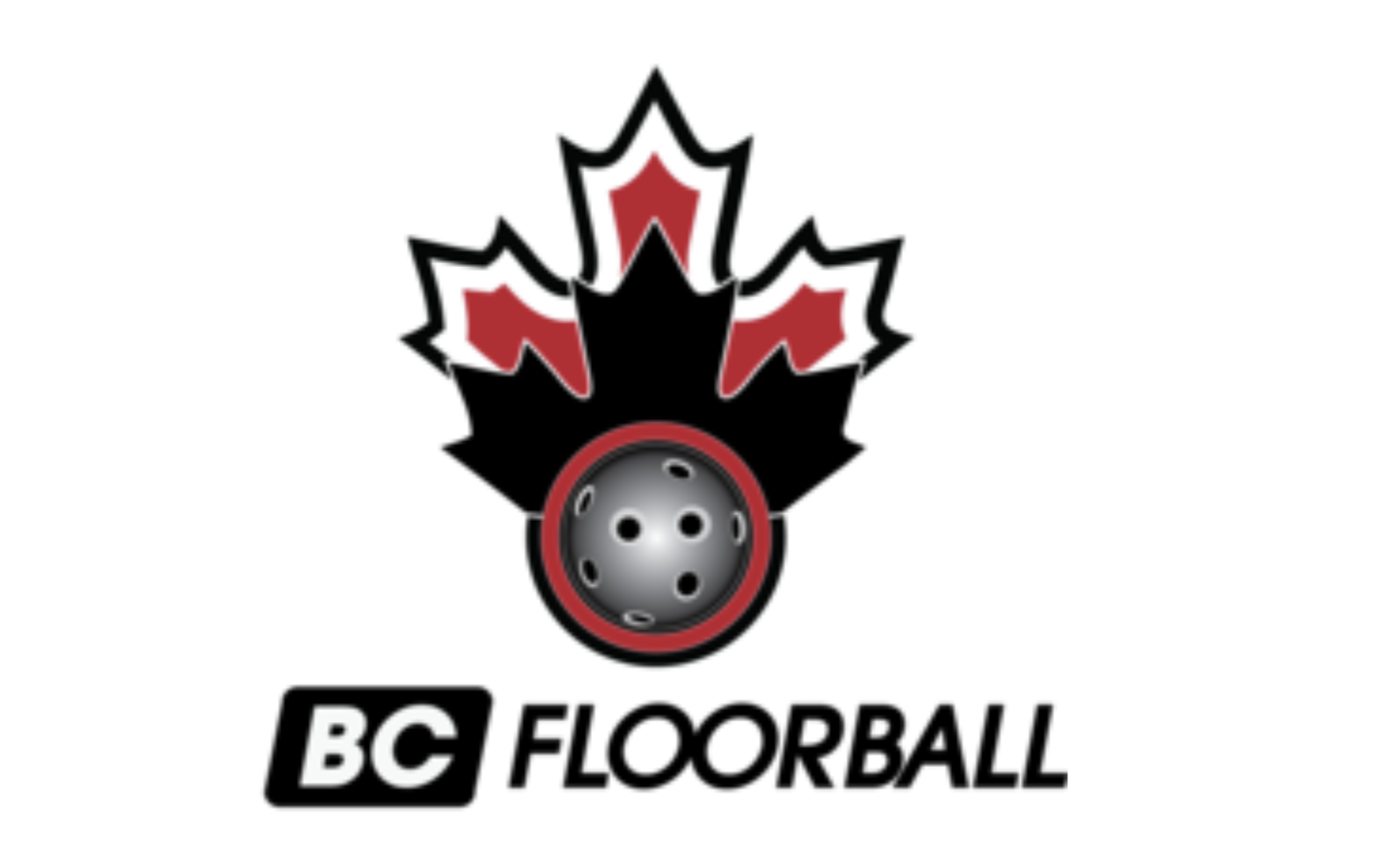 Screenshot 2026-01-31 at 4.58.24 PM.png