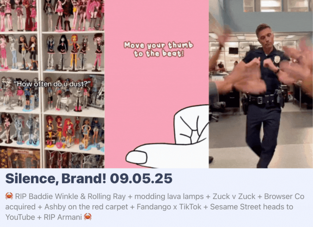 5.gif