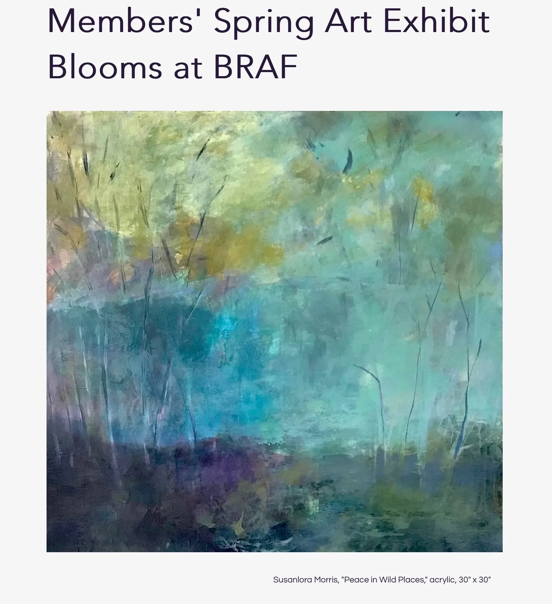 Peace in Wild Places 30”x30”
Website Marketing BRAF Website